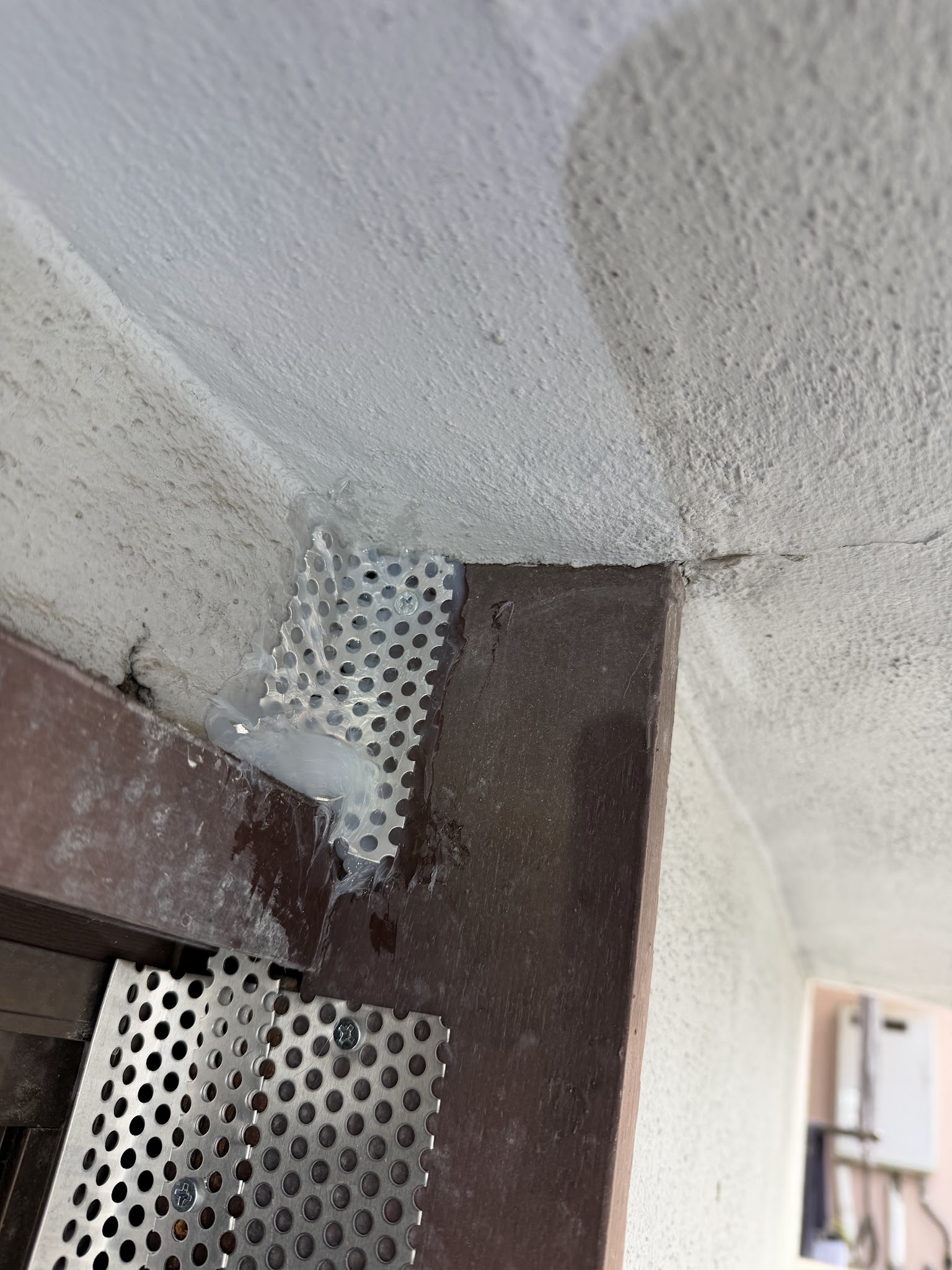 大阪府豊中市ネズミ駆除現場の写真38