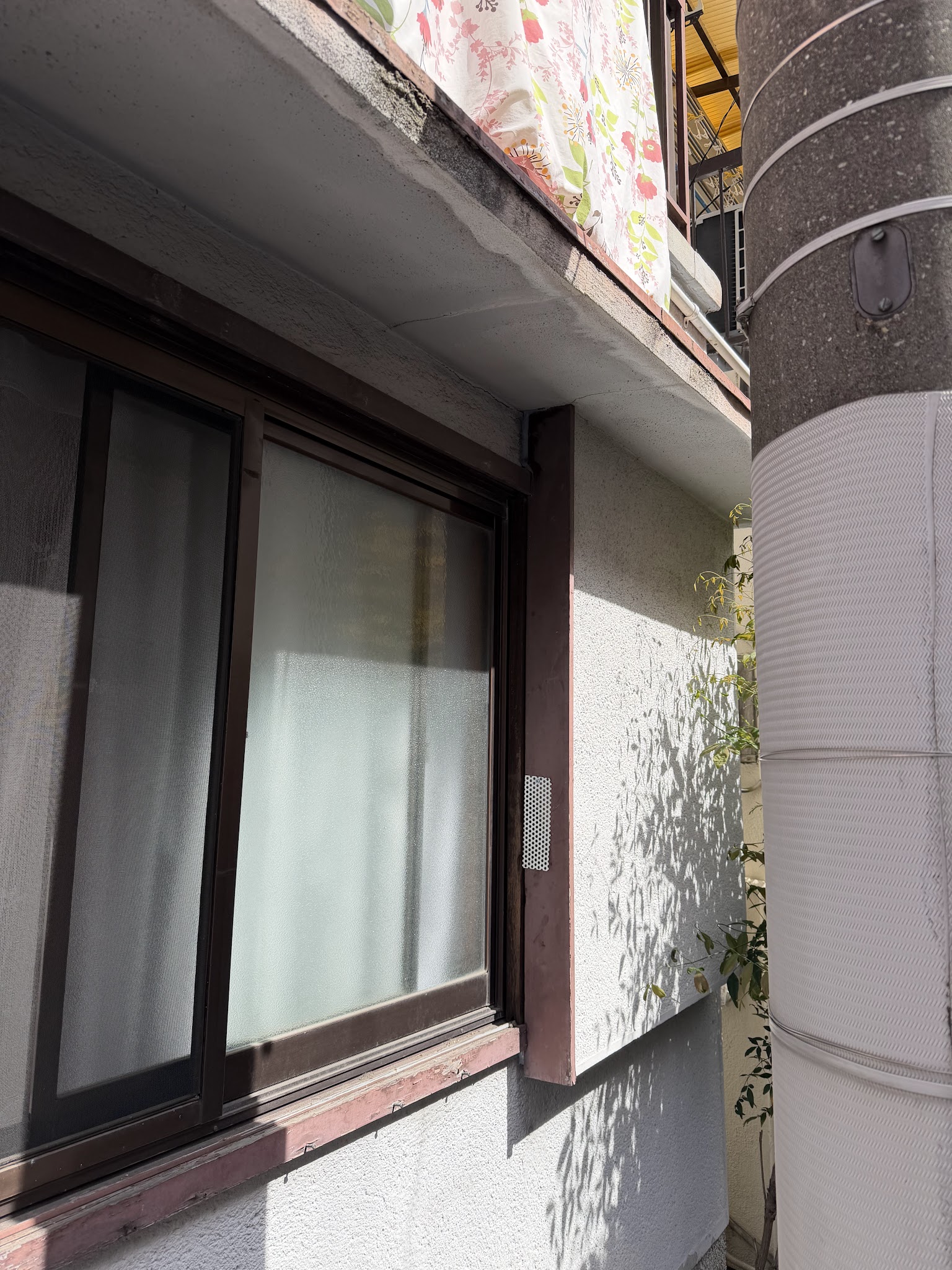 大阪府豊中市ネズミ駆除現場の写真4