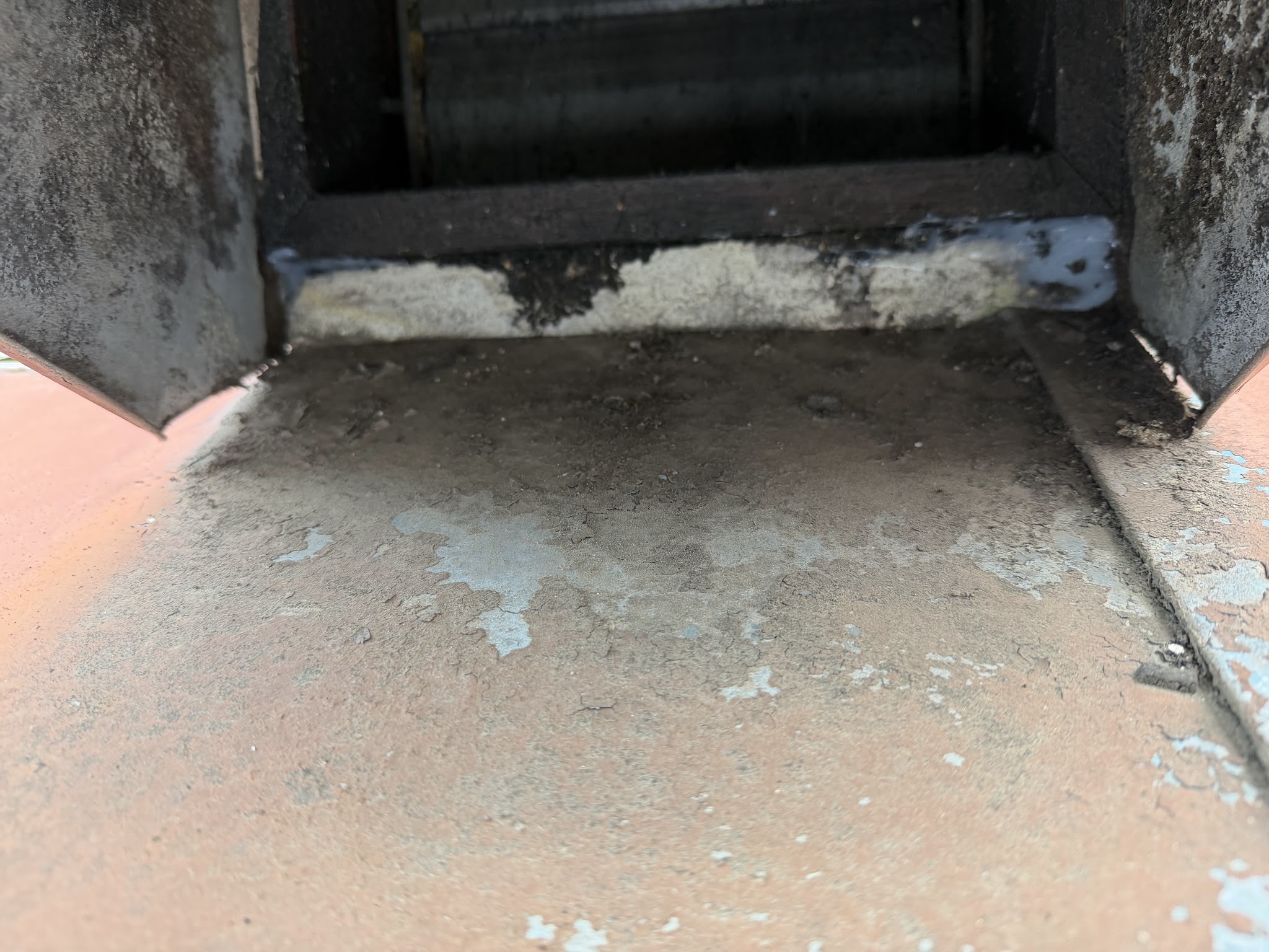 大阪府豊中市ネズミ駆除現場の写真24