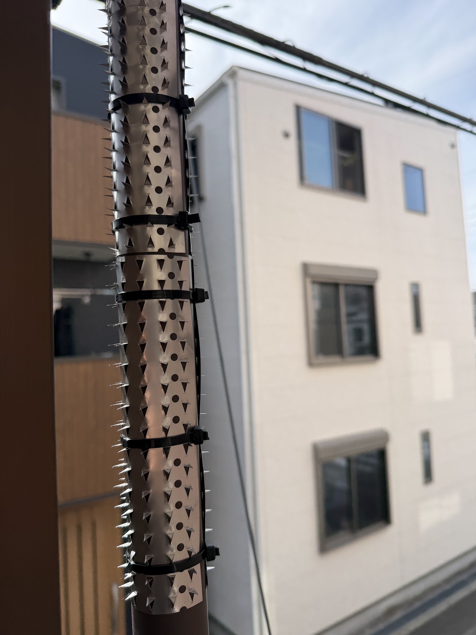 大阪府豊中市ネズミ駆除現場の写真43