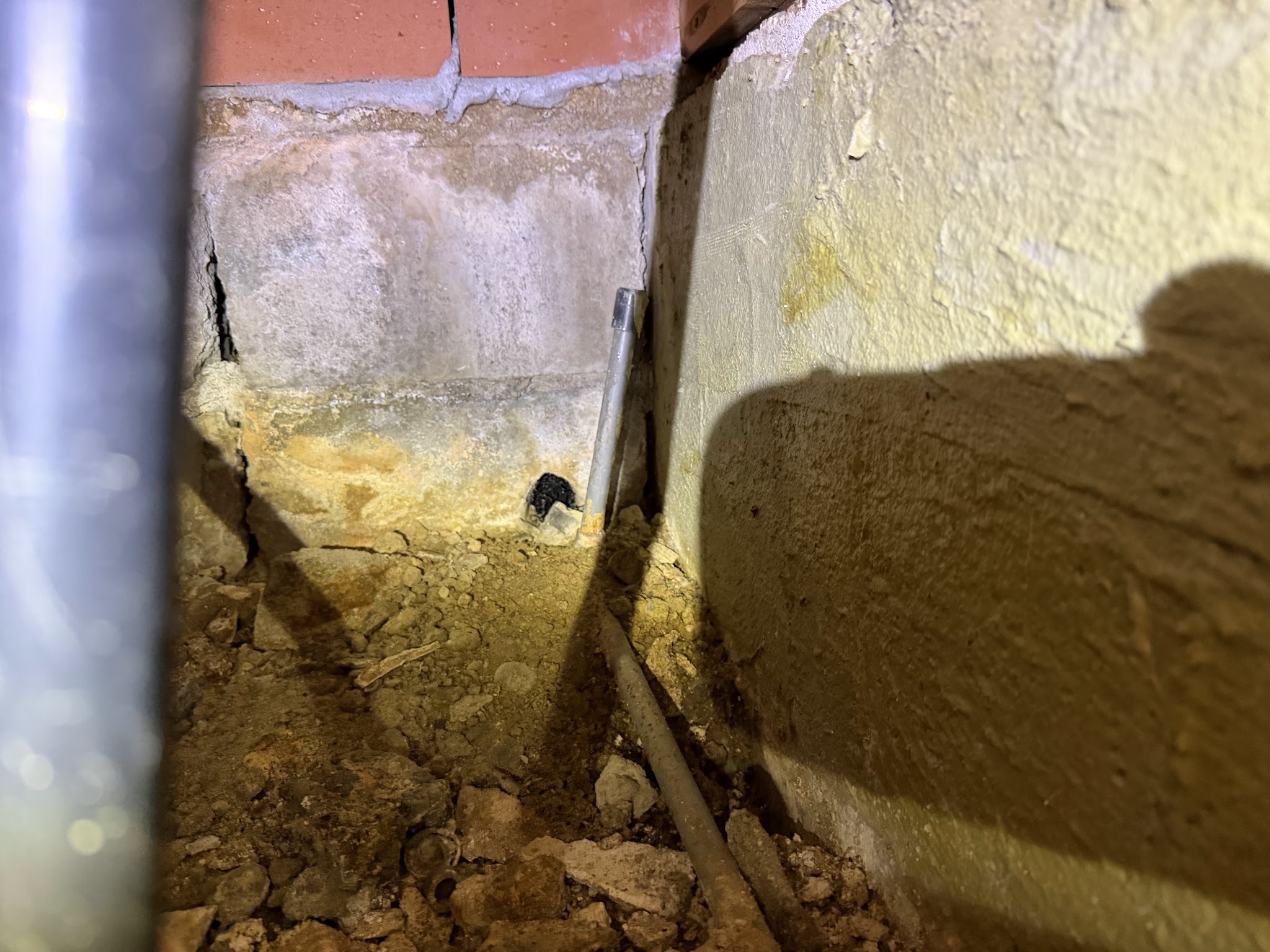 大阪府豊中市ネズミ駆除現場の写真18