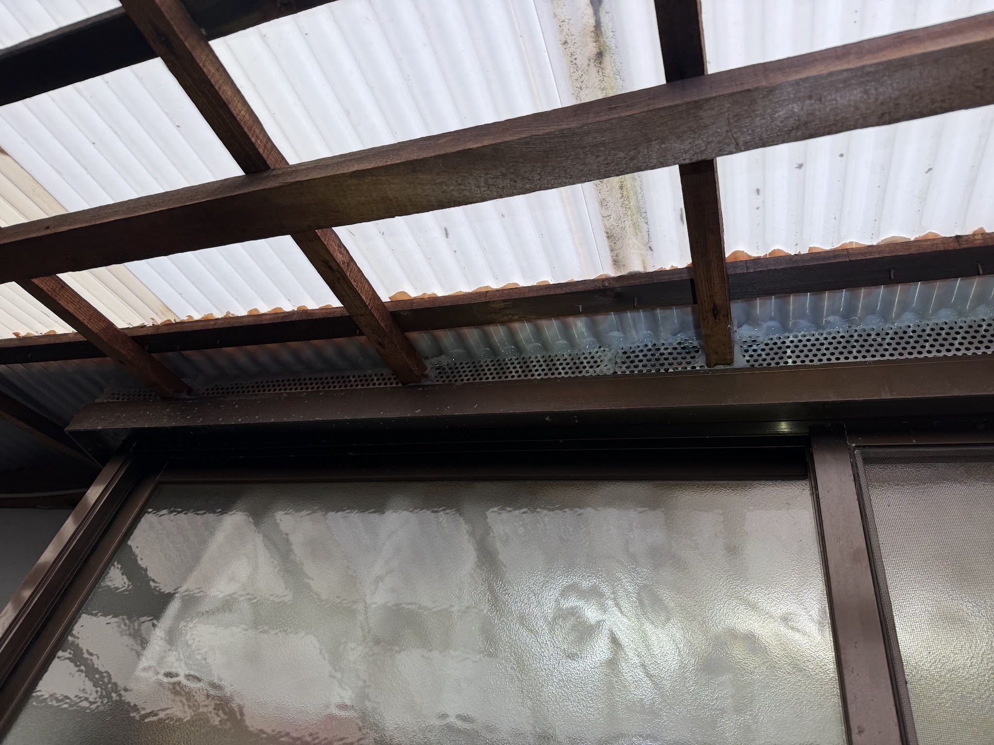 大阪府豊中市ネズミ駆除現場の写真10