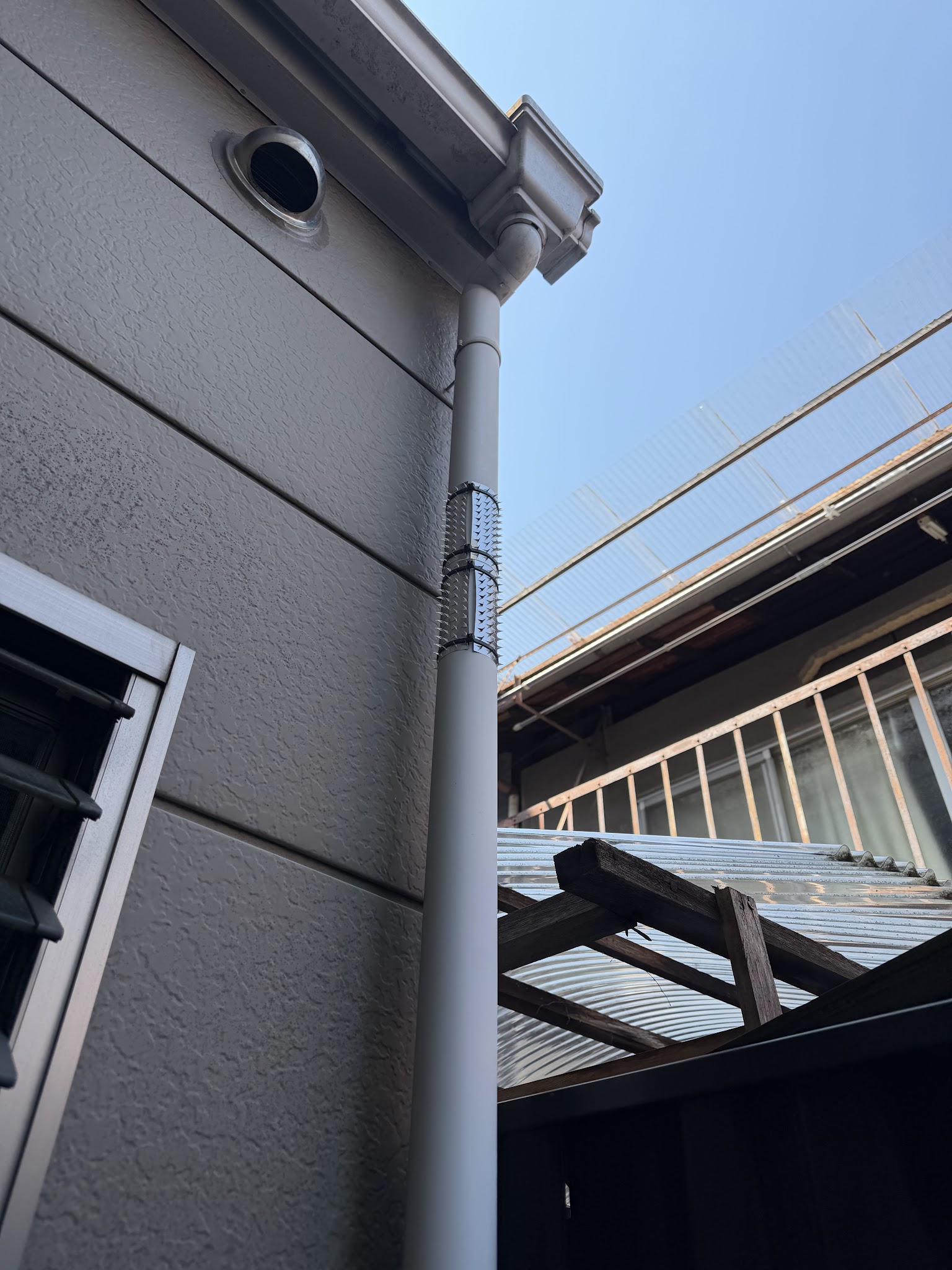 京都府京都市ネズミ駆除現場の写真35