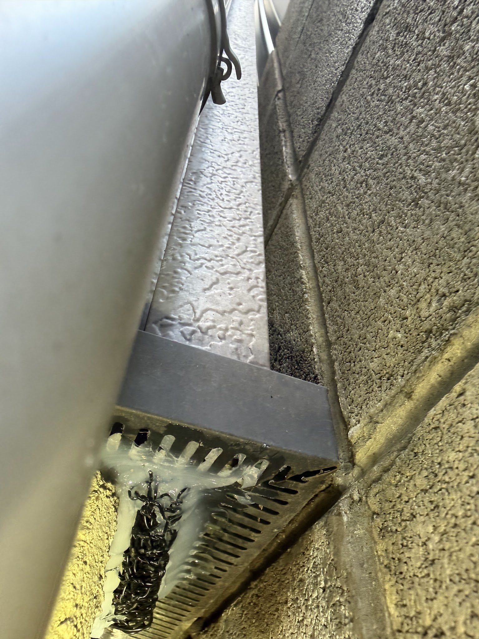 京都府京都市ネズミ駆除現場の写真41