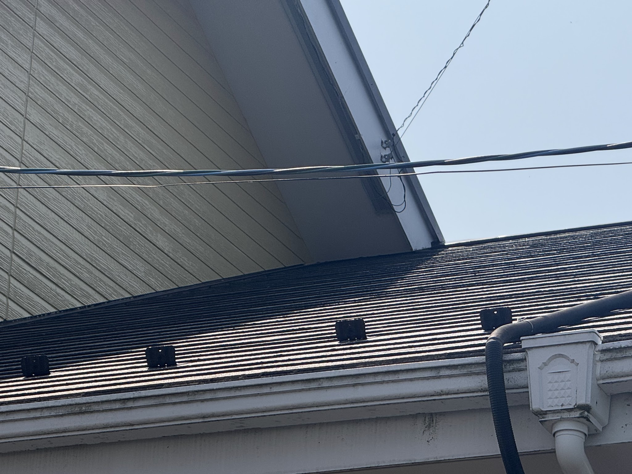 愛知県稲沢市ネズミ駆除現場の写真15
