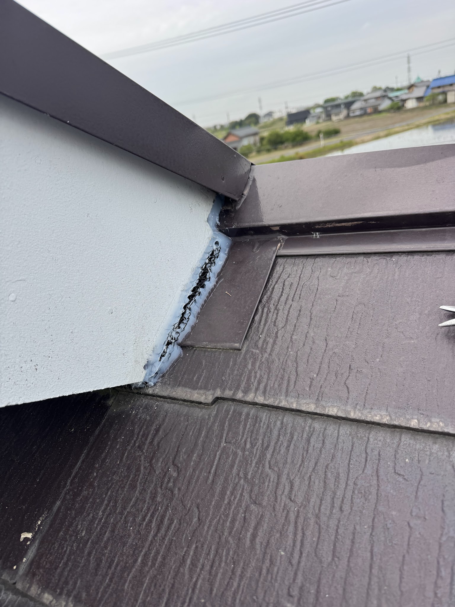 愛知県稲沢市ネズミ駆除現場の写真2