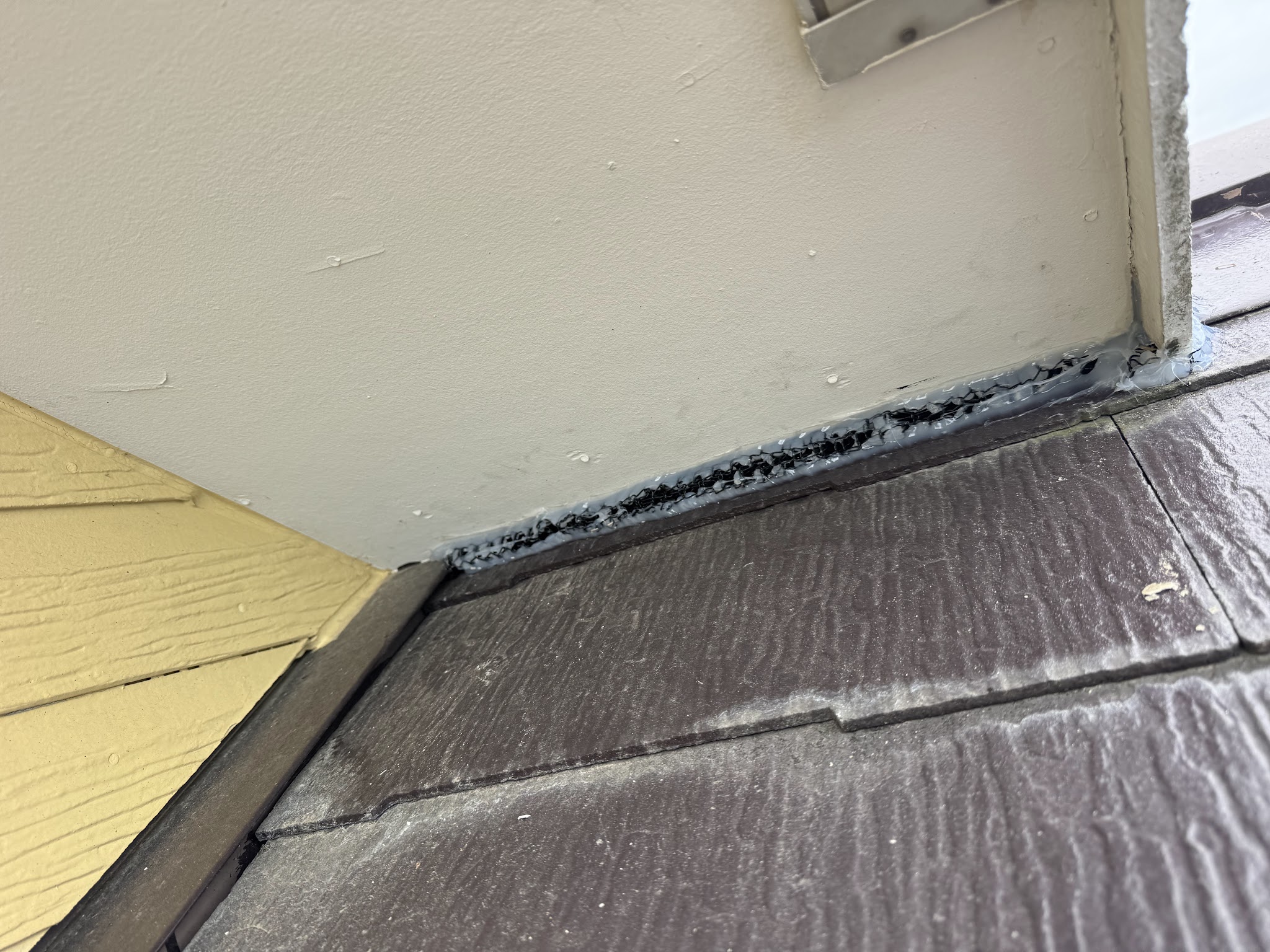愛知県稲沢市ネズミ駆除現場の写真3
