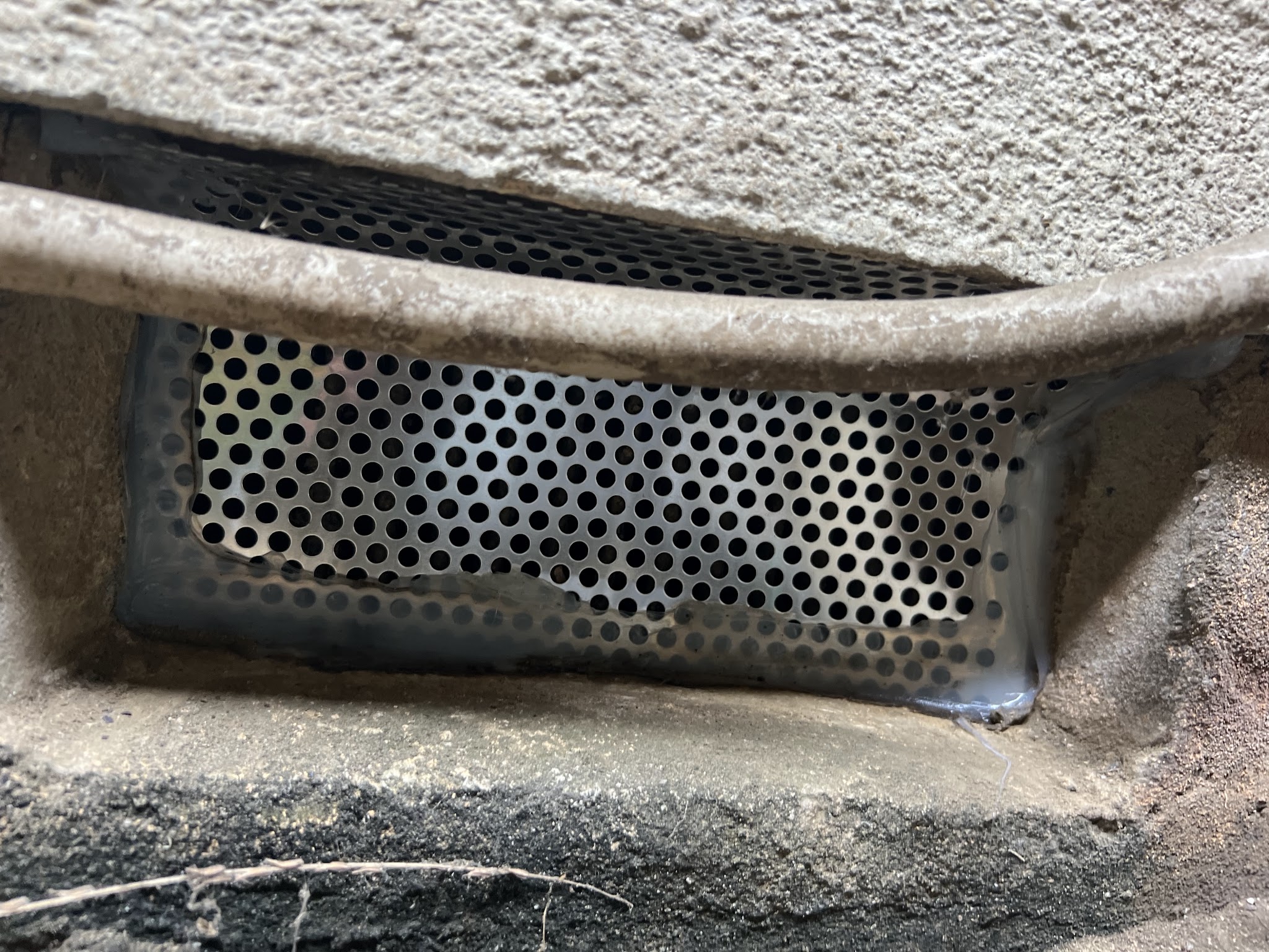埼玉県所沢市ネズミ駆除現場の写真24