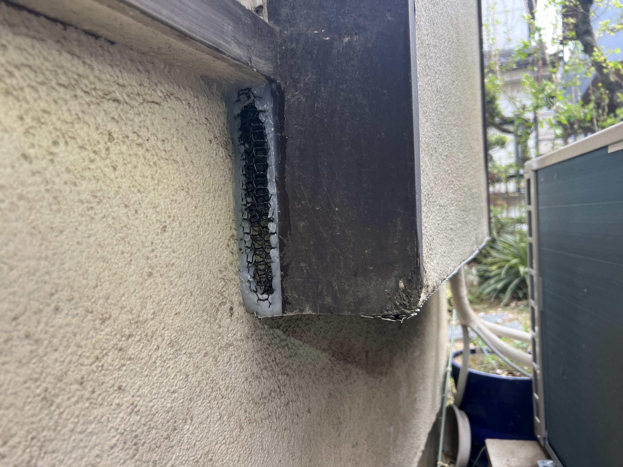 埼玉県所沢市ネズミ駆除現場の写真28
