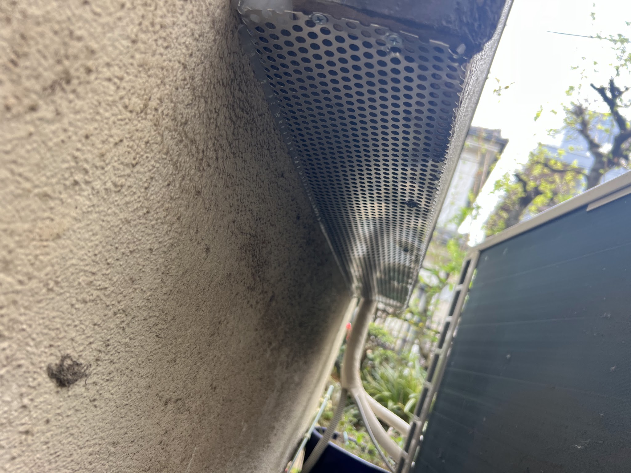埼玉県所沢市ネズミ駆除現場の写真31