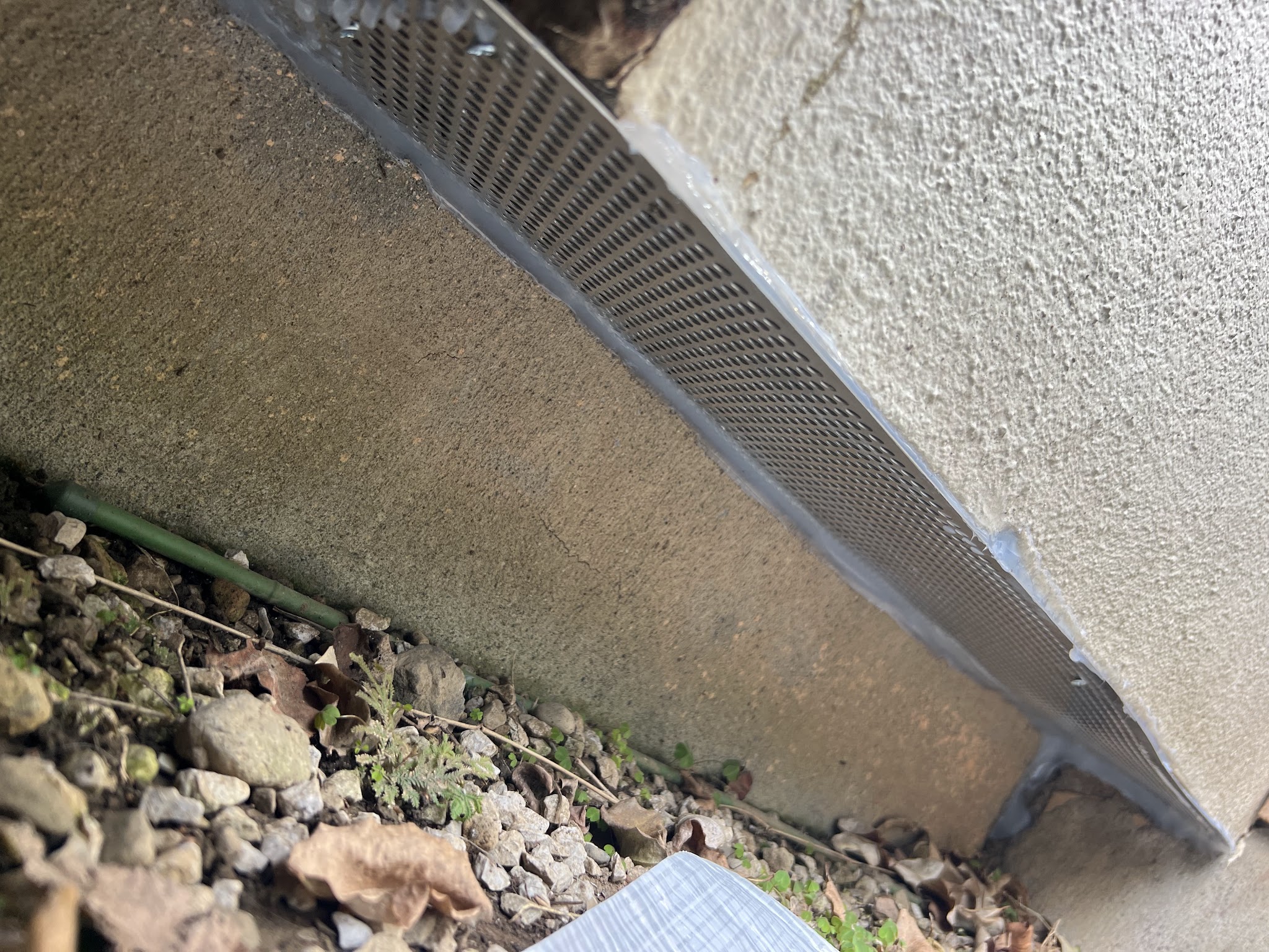 埼玉県所沢市ネズミ駆除現場の写真13