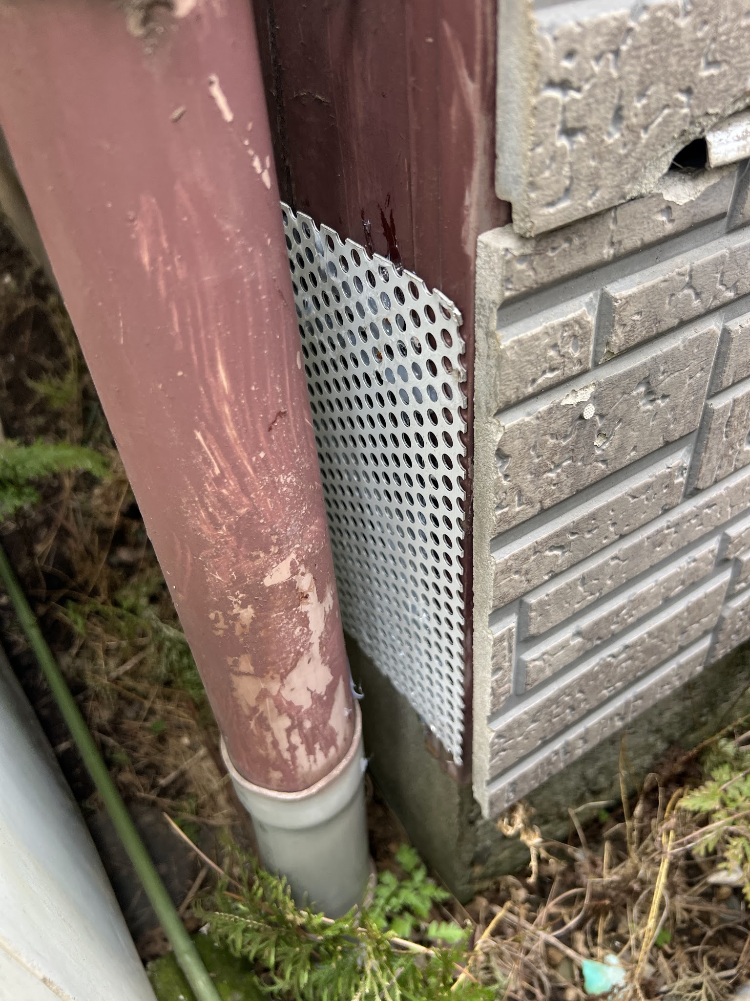 埼玉県所沢市ネズミ駆除現場の写真26