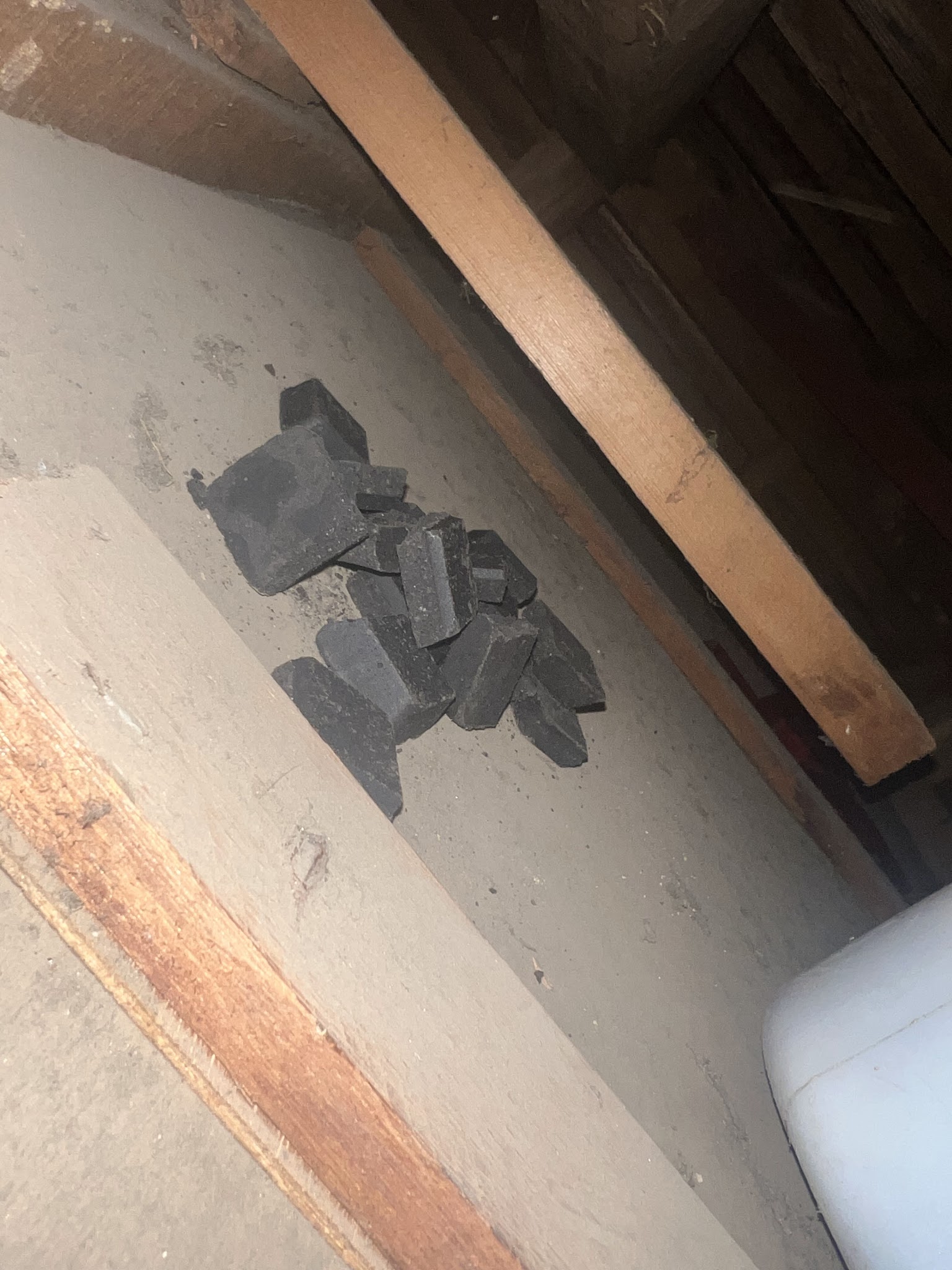 埼玉県所沢市ネズミ駆除現場の写真6