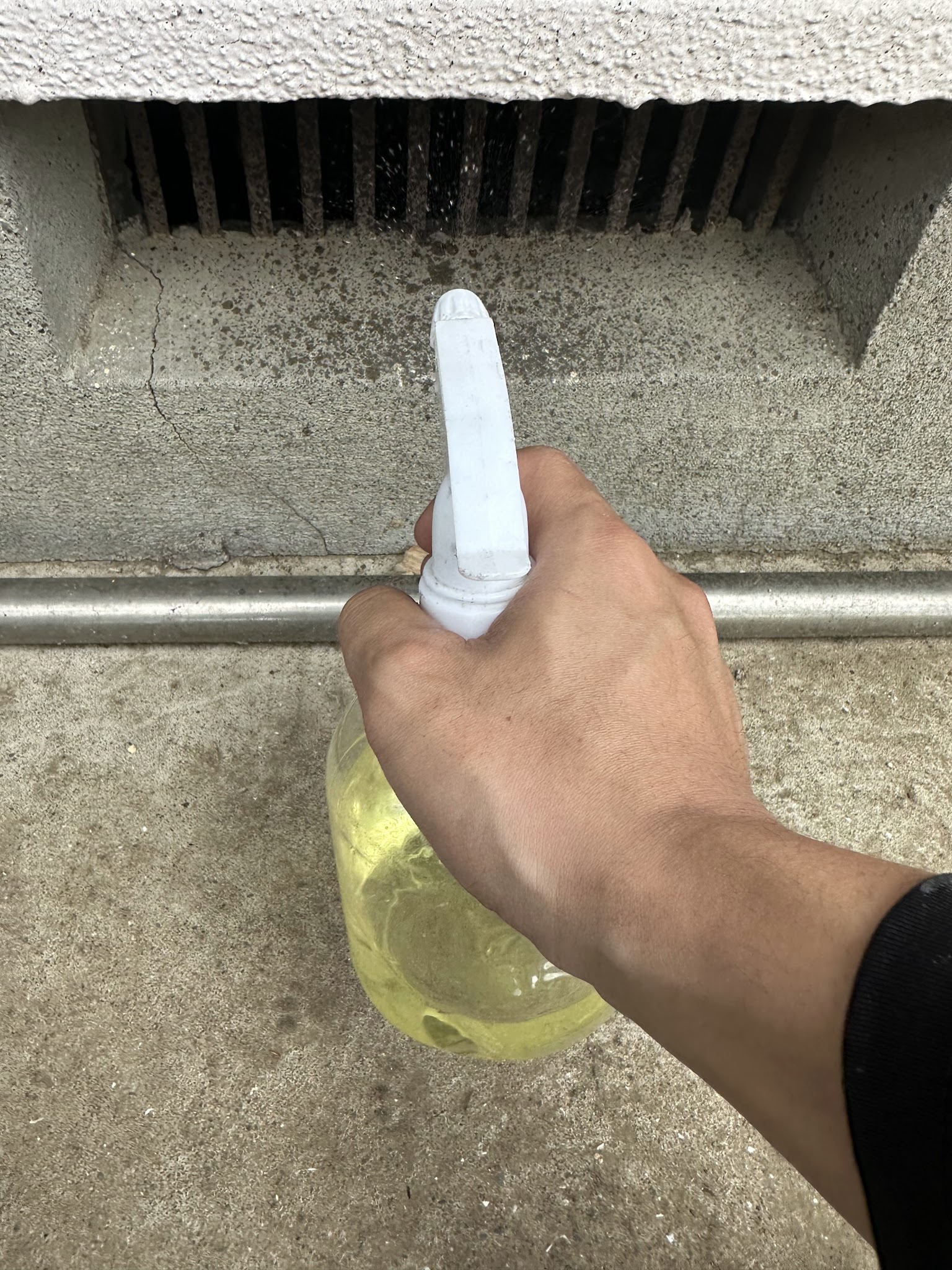 茨城県取手市中型害獣駆除現場の写真2