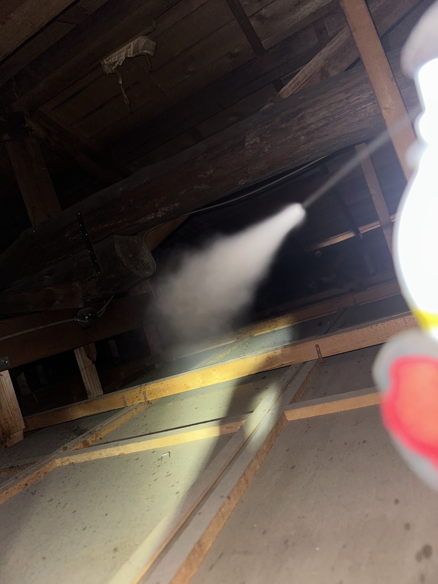 茨城県取手市中型害獣駆除現場の写真11