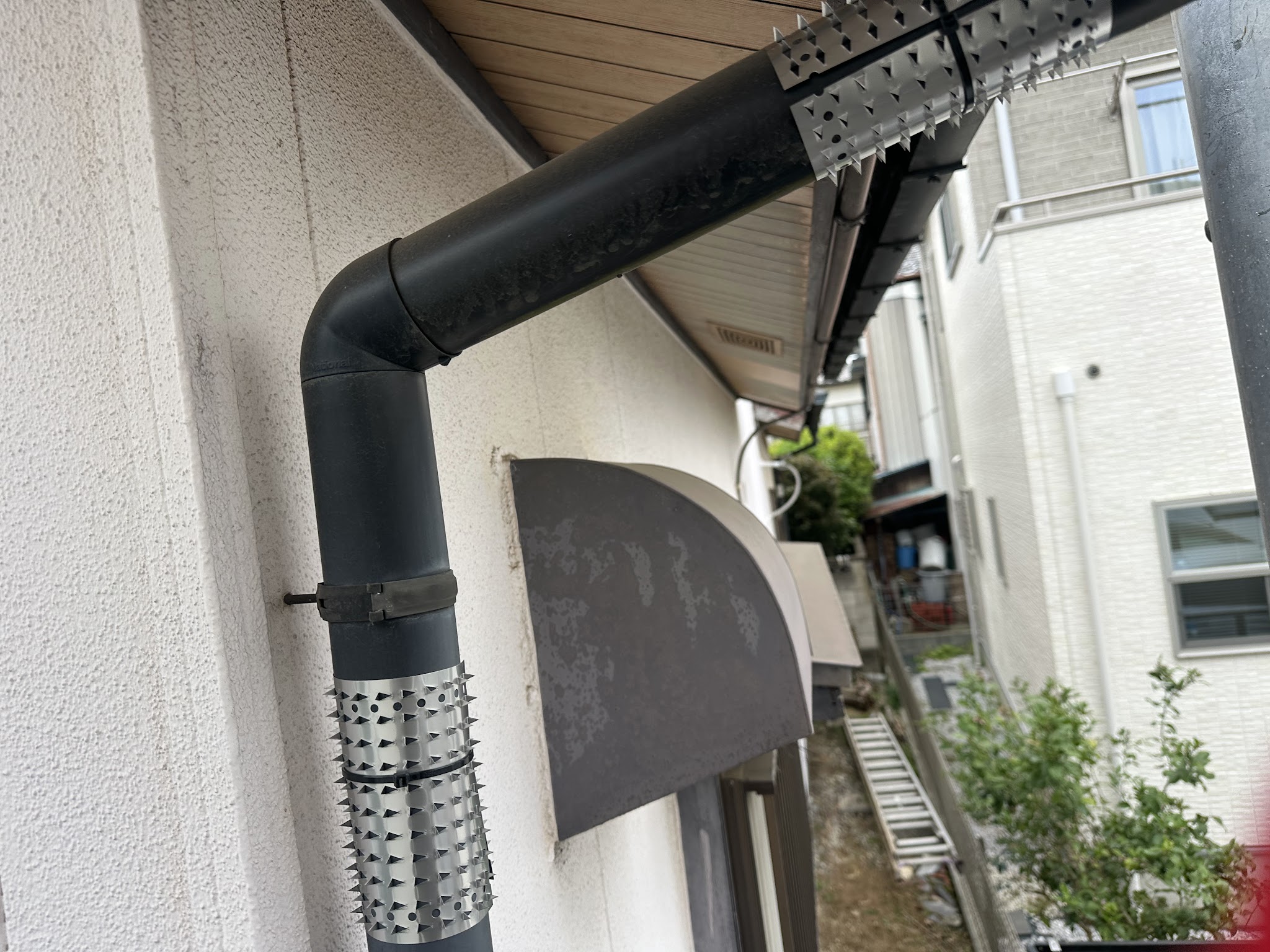 茨城県取手市中型害獣駆除現場の写真7
