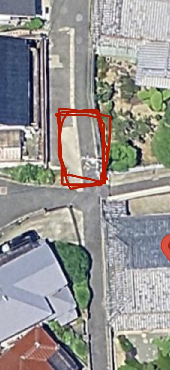 大阪府堺市イタチ駆除現場の写真1