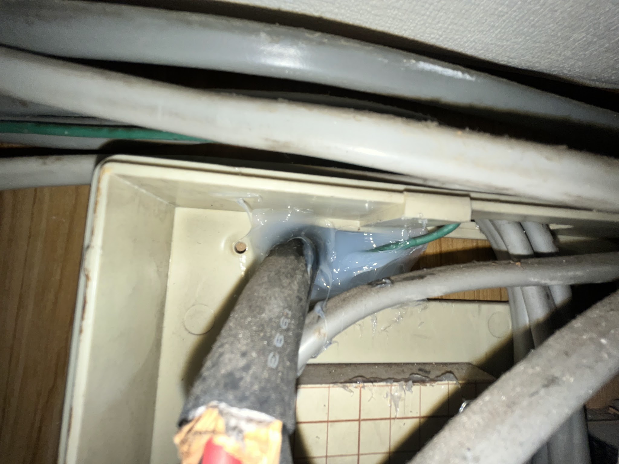 東京都中野区ネズミ駆除現場の写真11