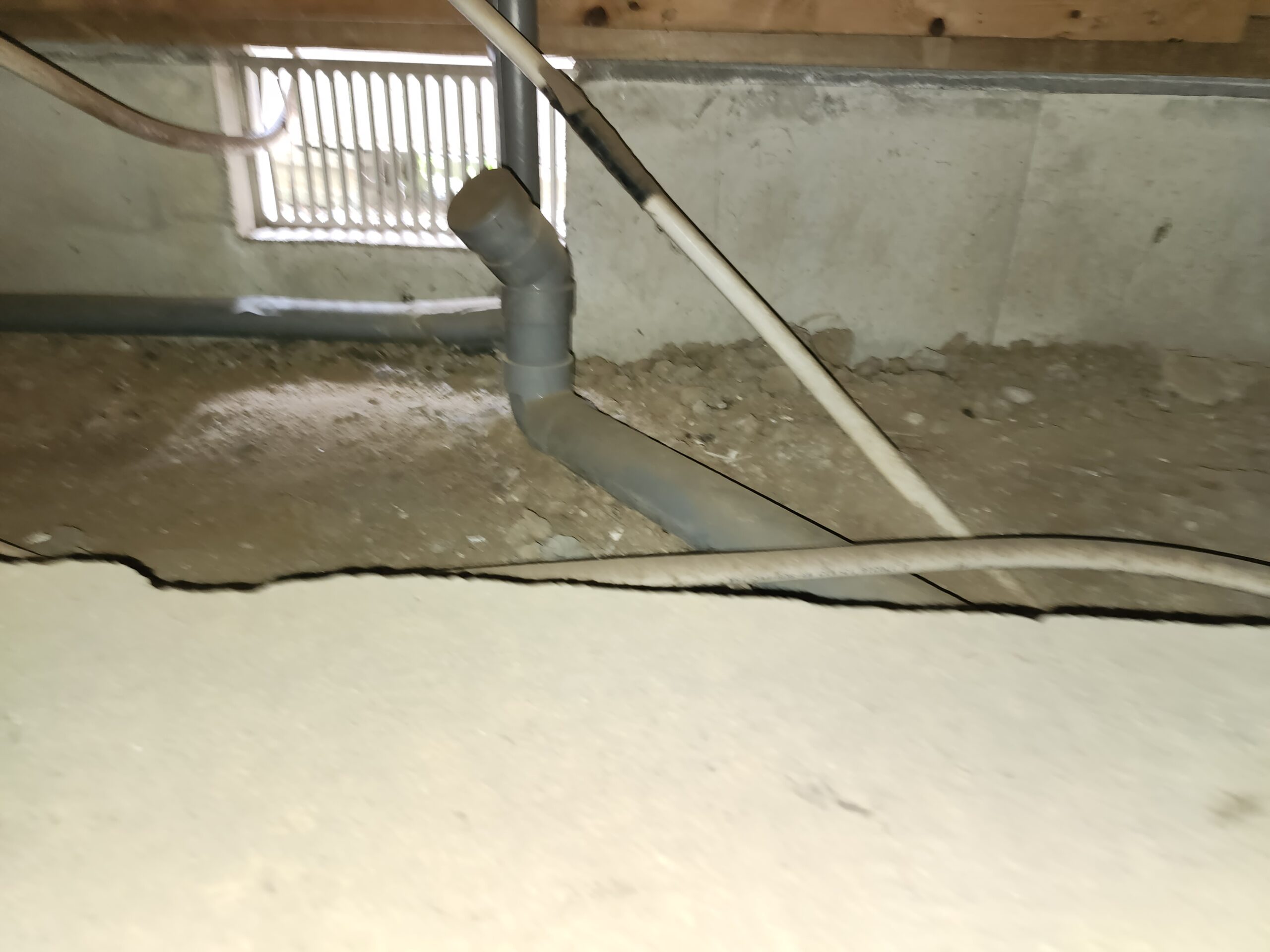 千葉県佐倉市ネズミ駆除現場の写真33
