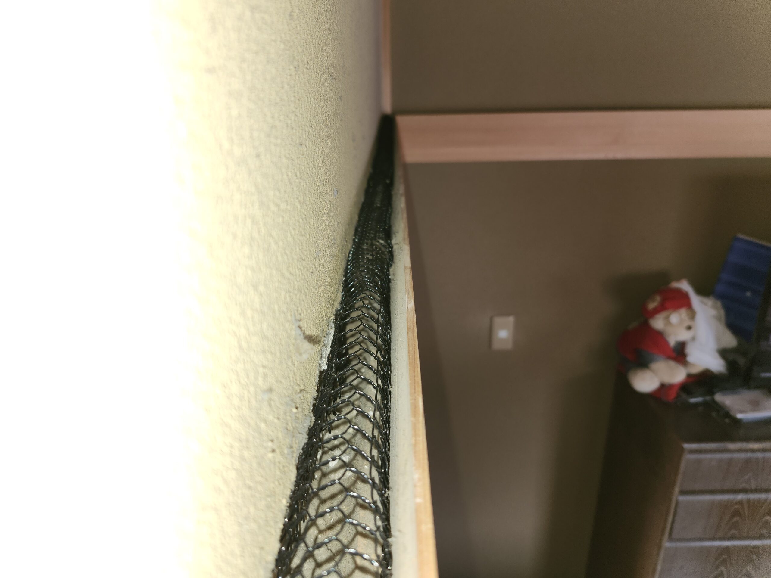 千葉県佐倉市ネズミ駆除現場の写真24