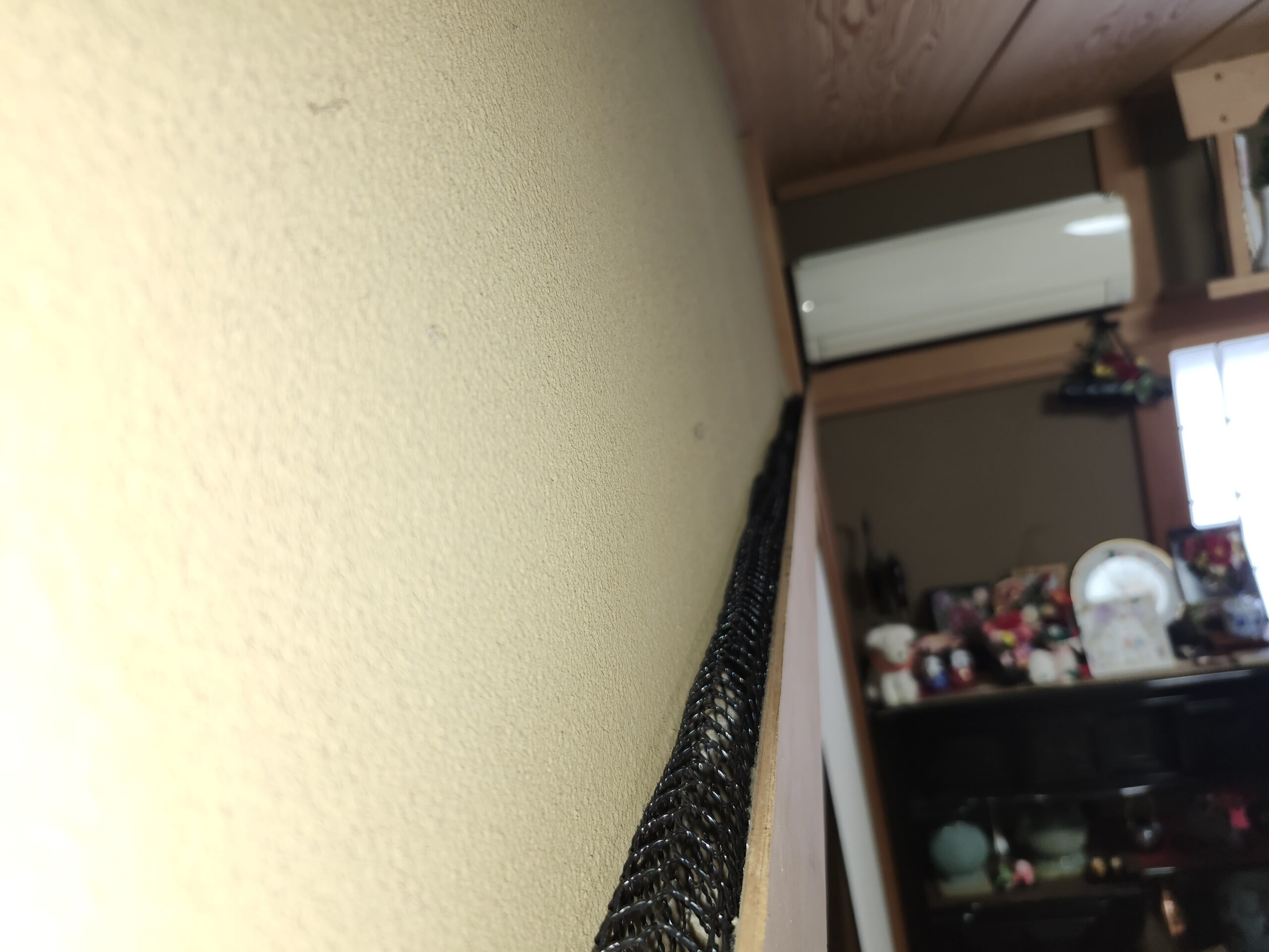 千葉県佐倉市ネズミ駆除現場の写真22