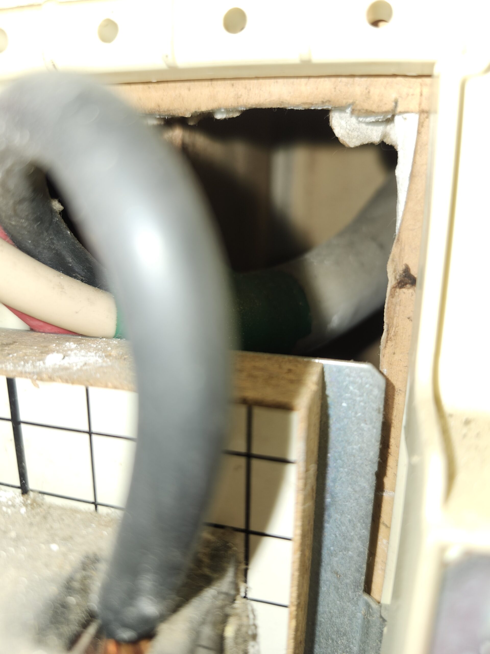 千葉県佐倉市ネズミ駆除現場の写真21