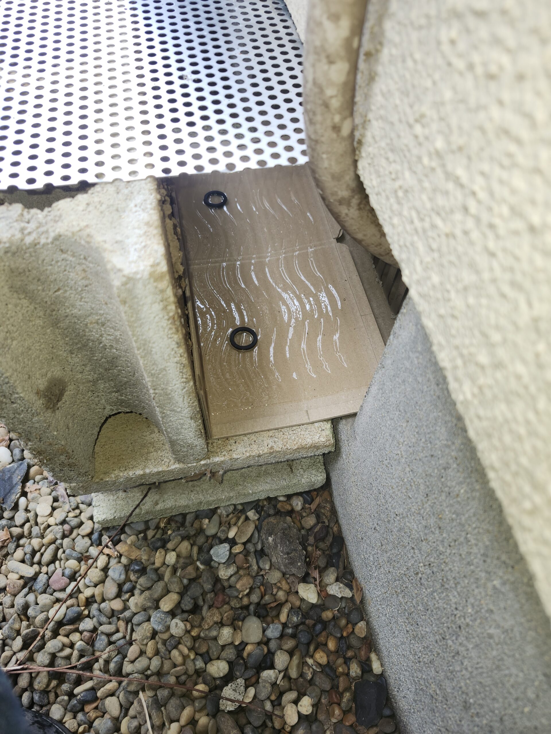 千葉県佐倉市ネズミ駆除現場の写真1