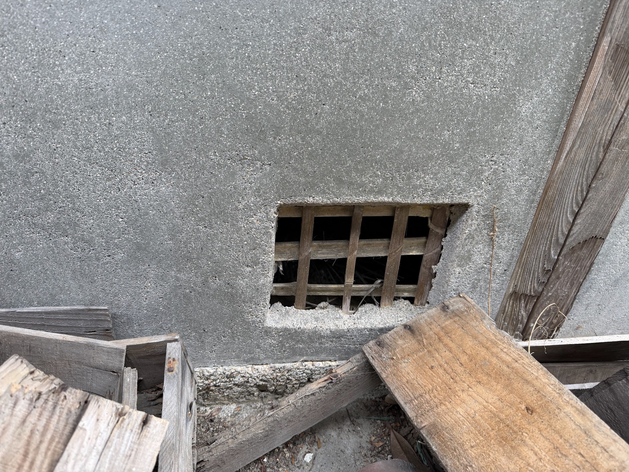 大阪府大阪狭山市アライグマ駆除現場の写真46