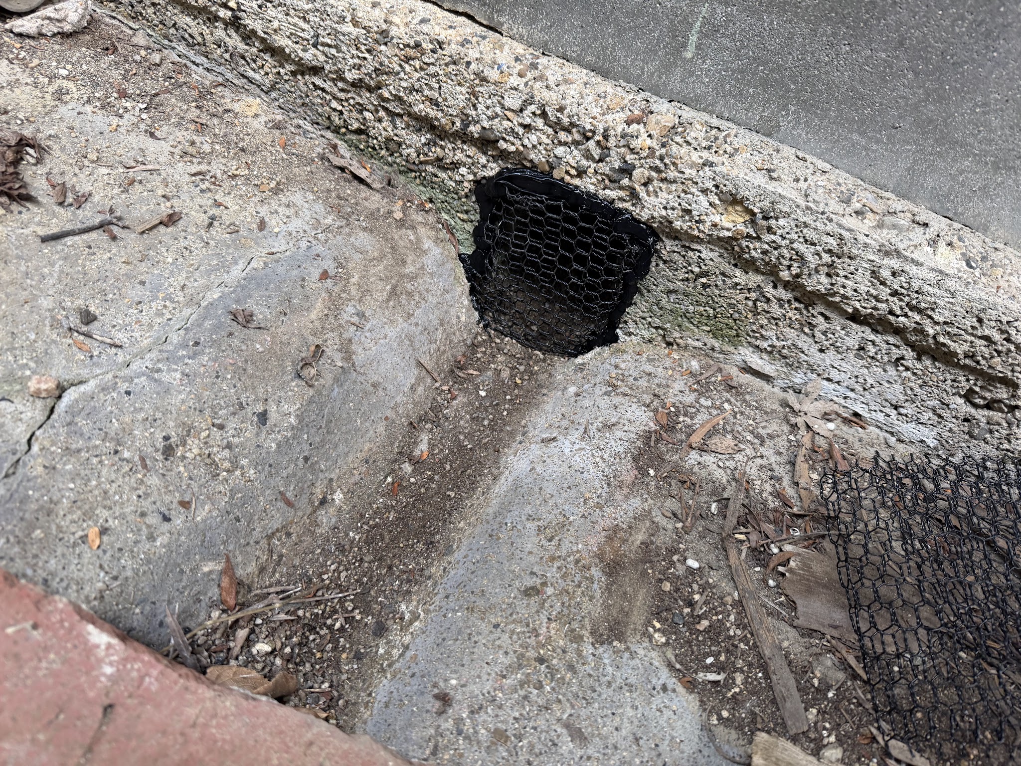 大阪府大阪狭山市アライグマ駆除現場の写真43