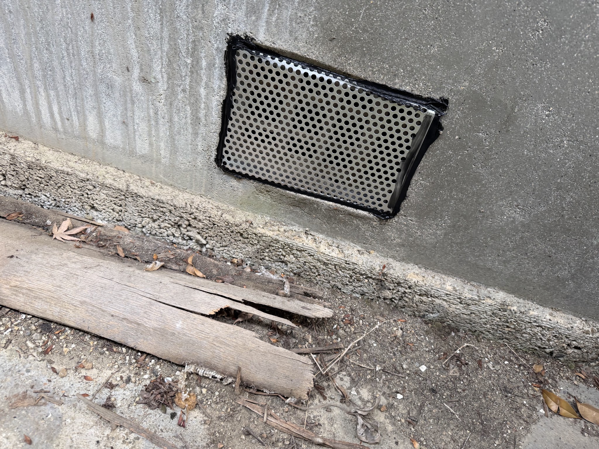 大阪府大阪狭山市アライグマ駆除現場の写真44