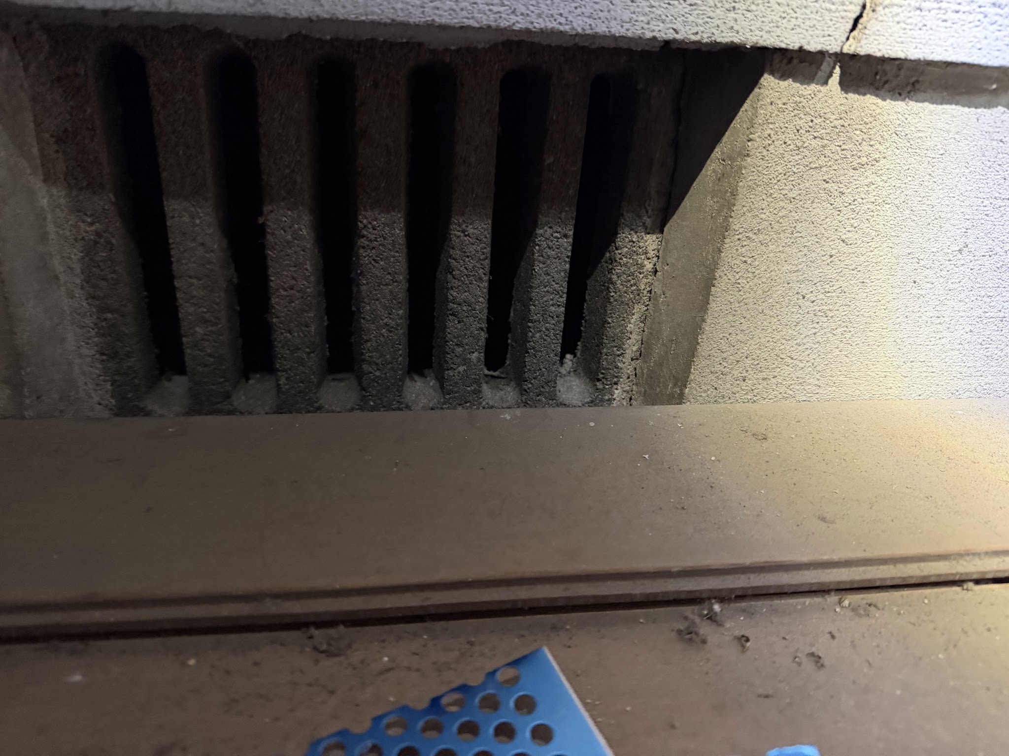 大阪府大阪狭山市アライグマ駆除現場の写真14