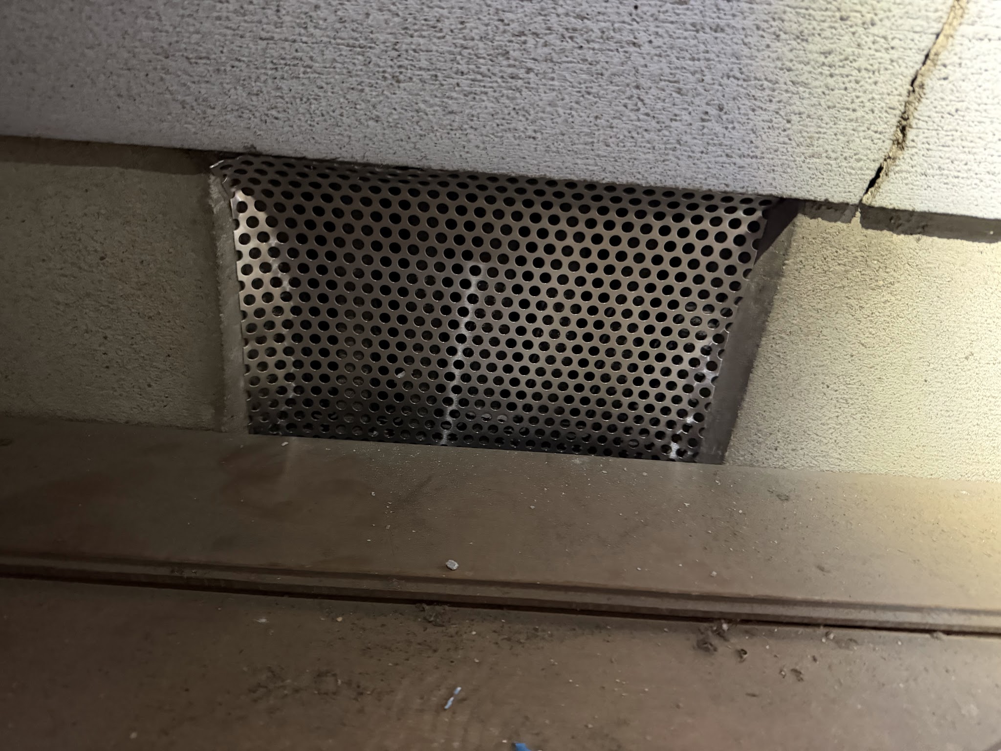 大阪府大阪狭山市アライグマ駆除現場の写真22