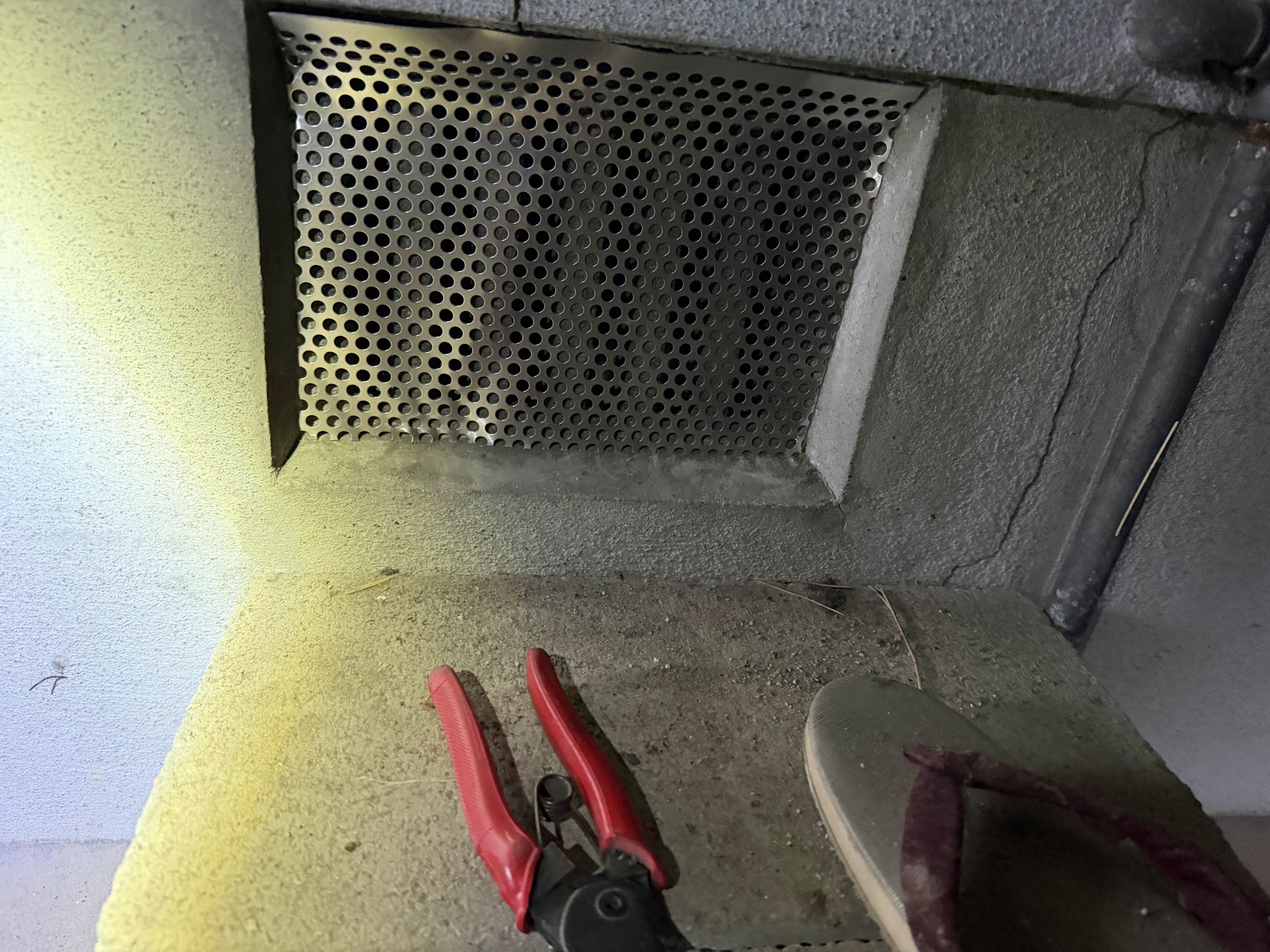 大阪府大阪狭山市アライグマ駆除現場の写真9