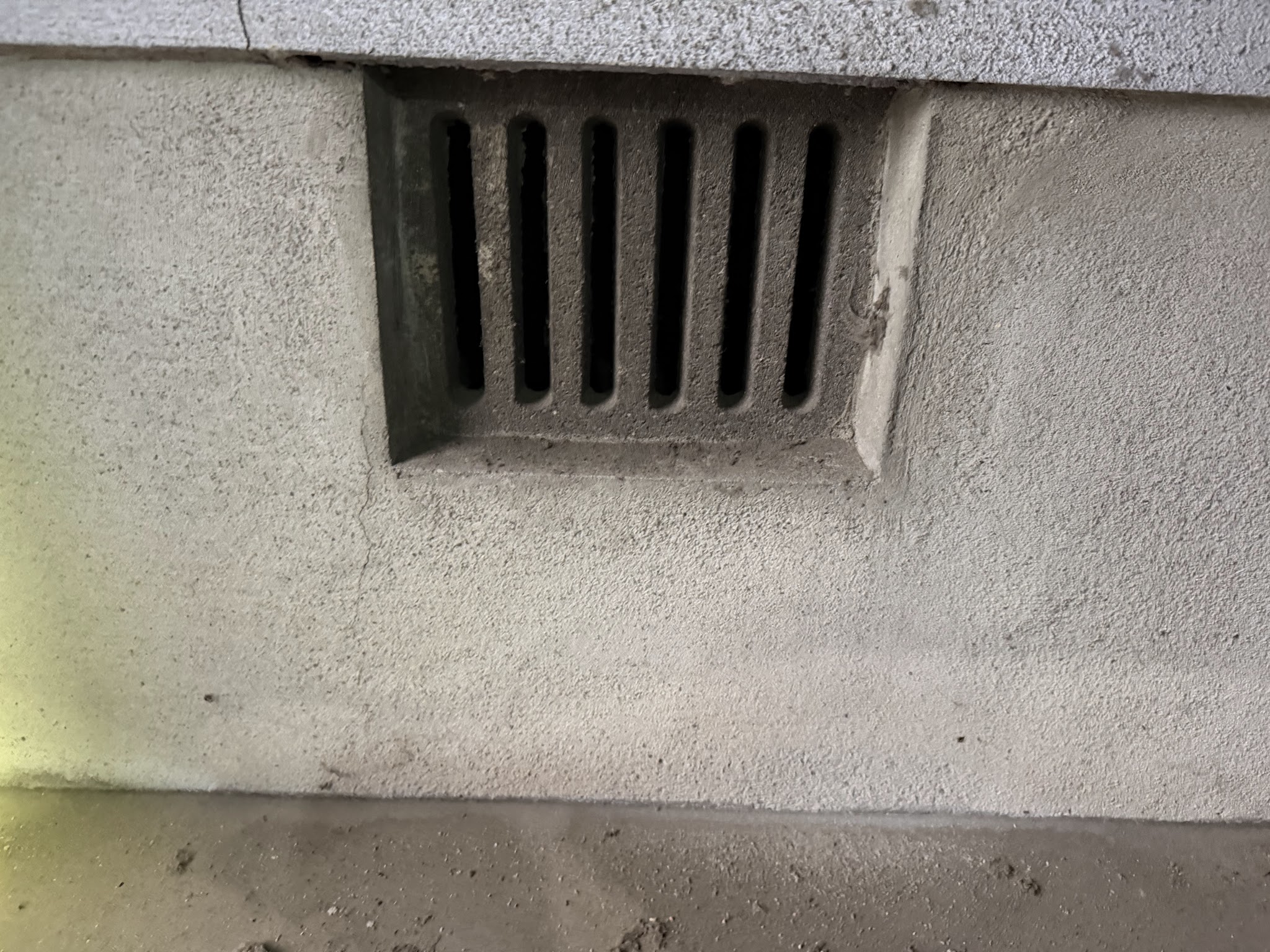 大阪府大阪狭山市アライグマ駆除現場の写真12