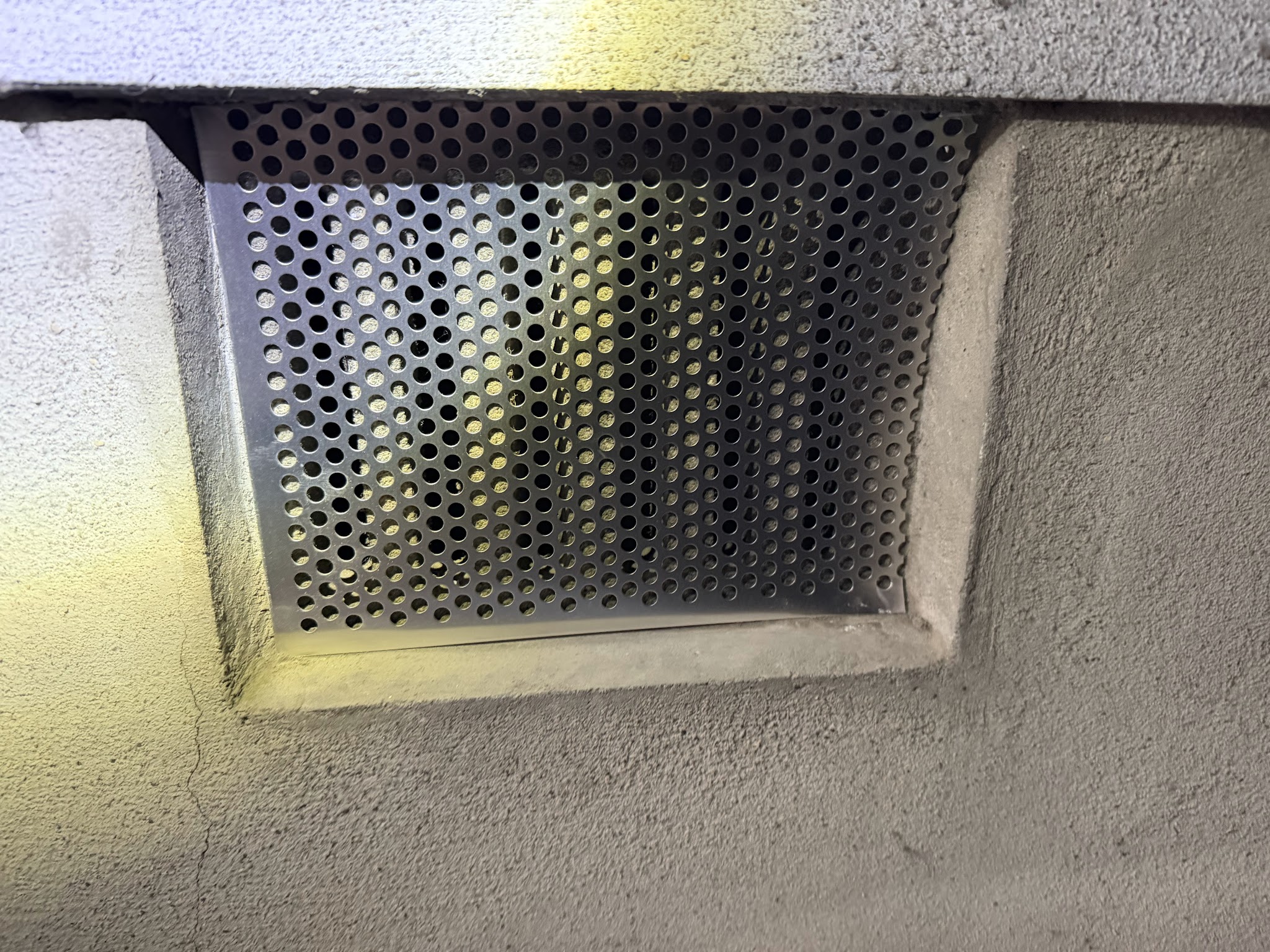 大阪府大阪狭山市アライグマ駆除現場の写真7