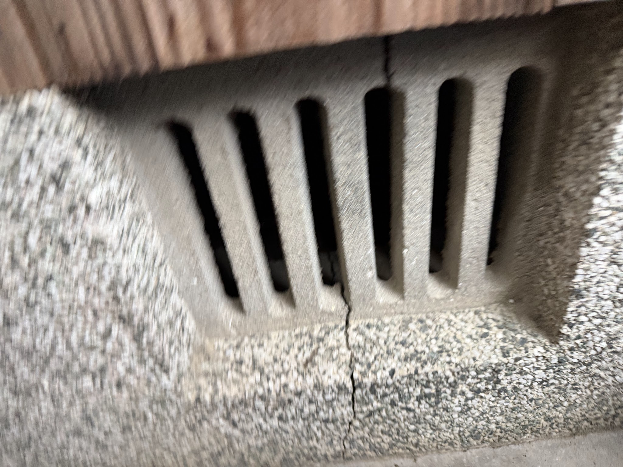 大阪府大阪狭山市アライグマ駆除現場の写真27