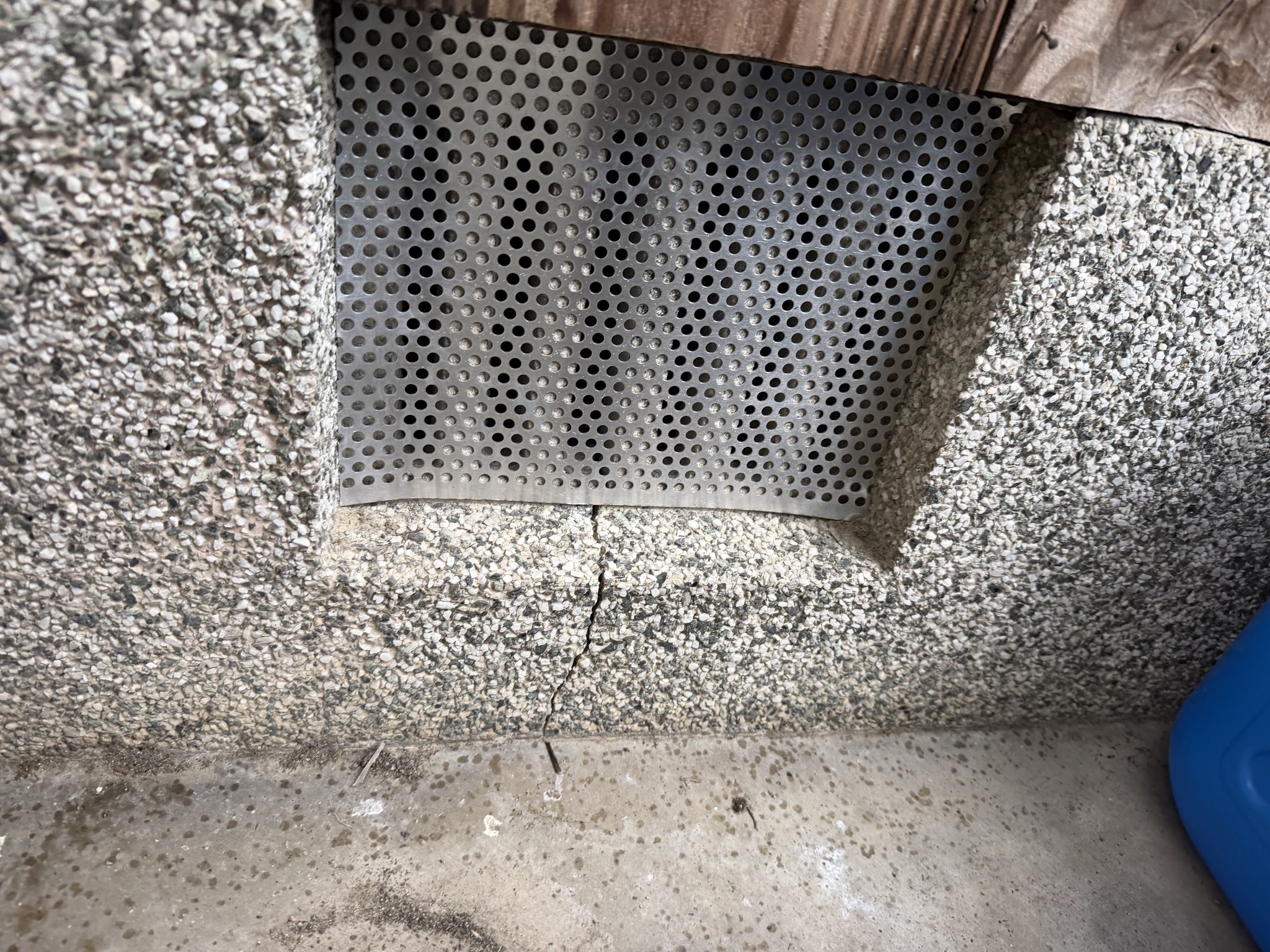 大阪府大阪狭山市アライグマ駆除現場の写真8