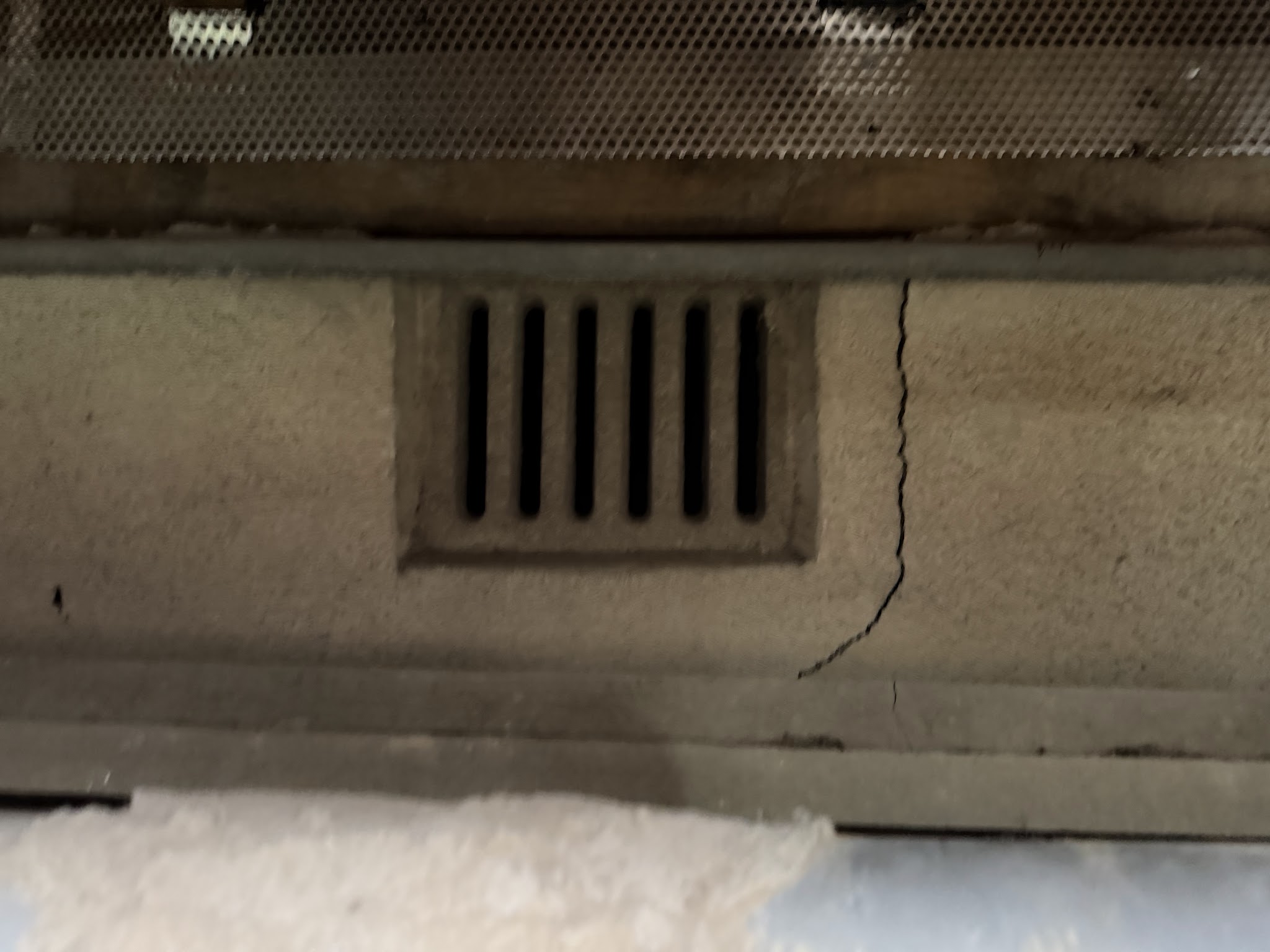 大阪府大阪狭山市アライグマ駆除現場の写真34