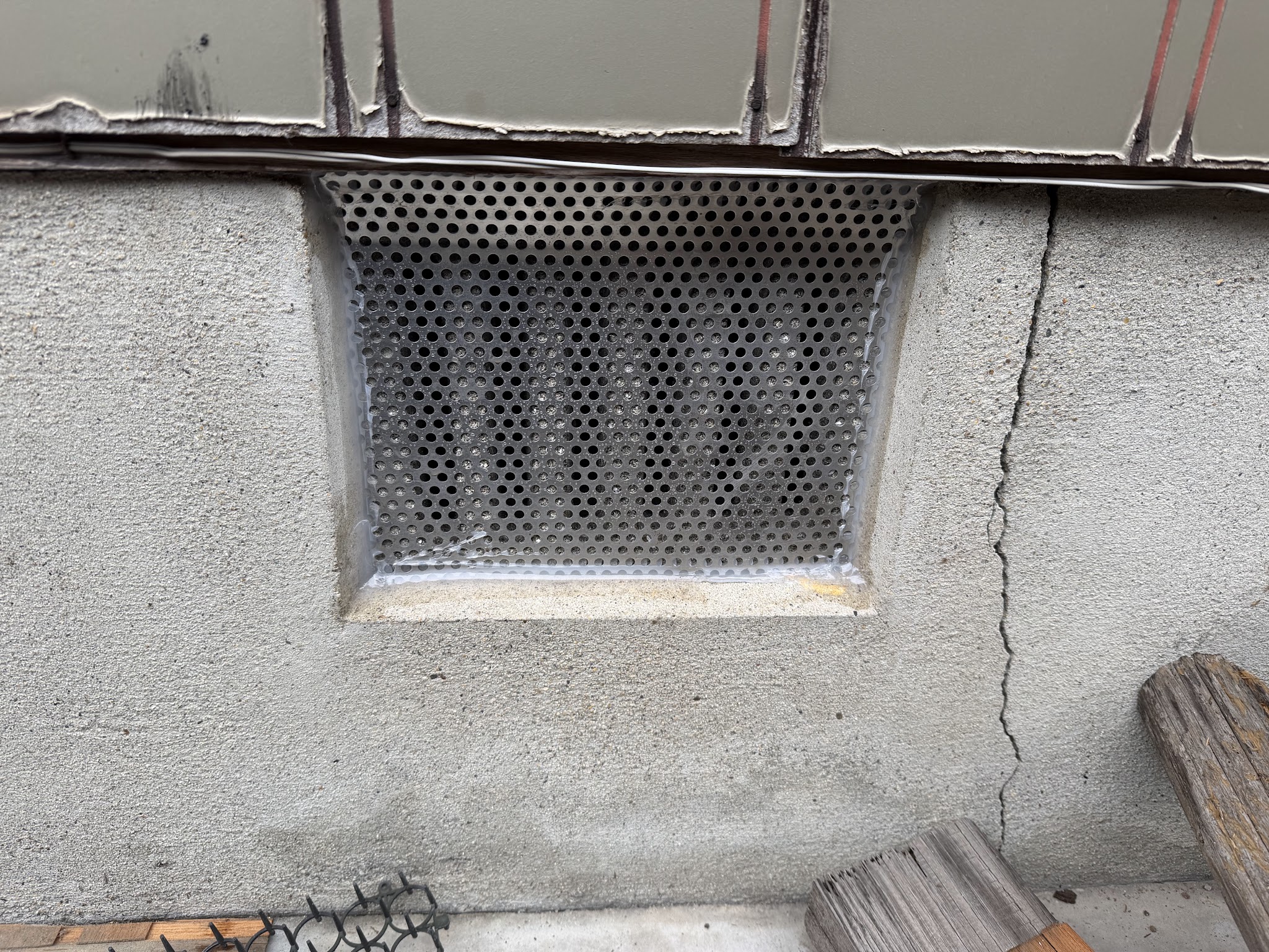 大阪府大阪狭山市アライグマ駆除現場の写真2