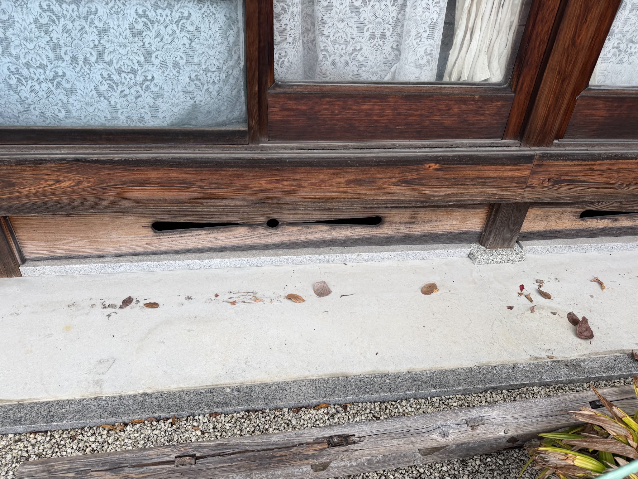 大阪府大阪狭山市アライグマ駆除現場の写真6