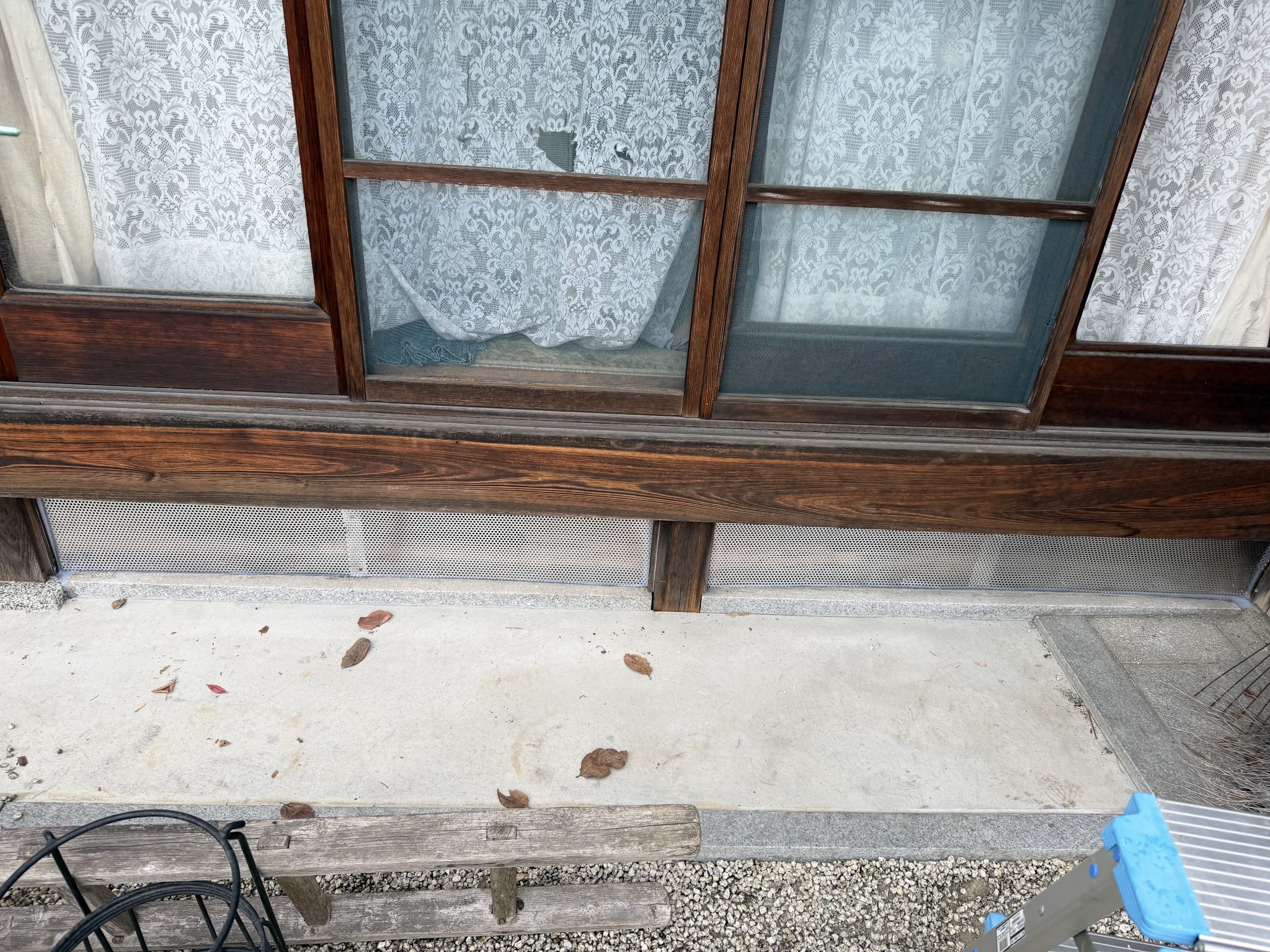 大阪府大阪狭山市アライグマ駆除現場の写真3