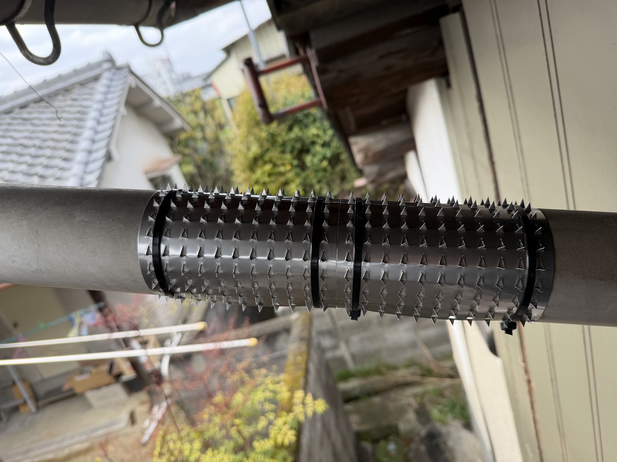 大阪府大阪狭山市アライグマ駆除現場の写真39