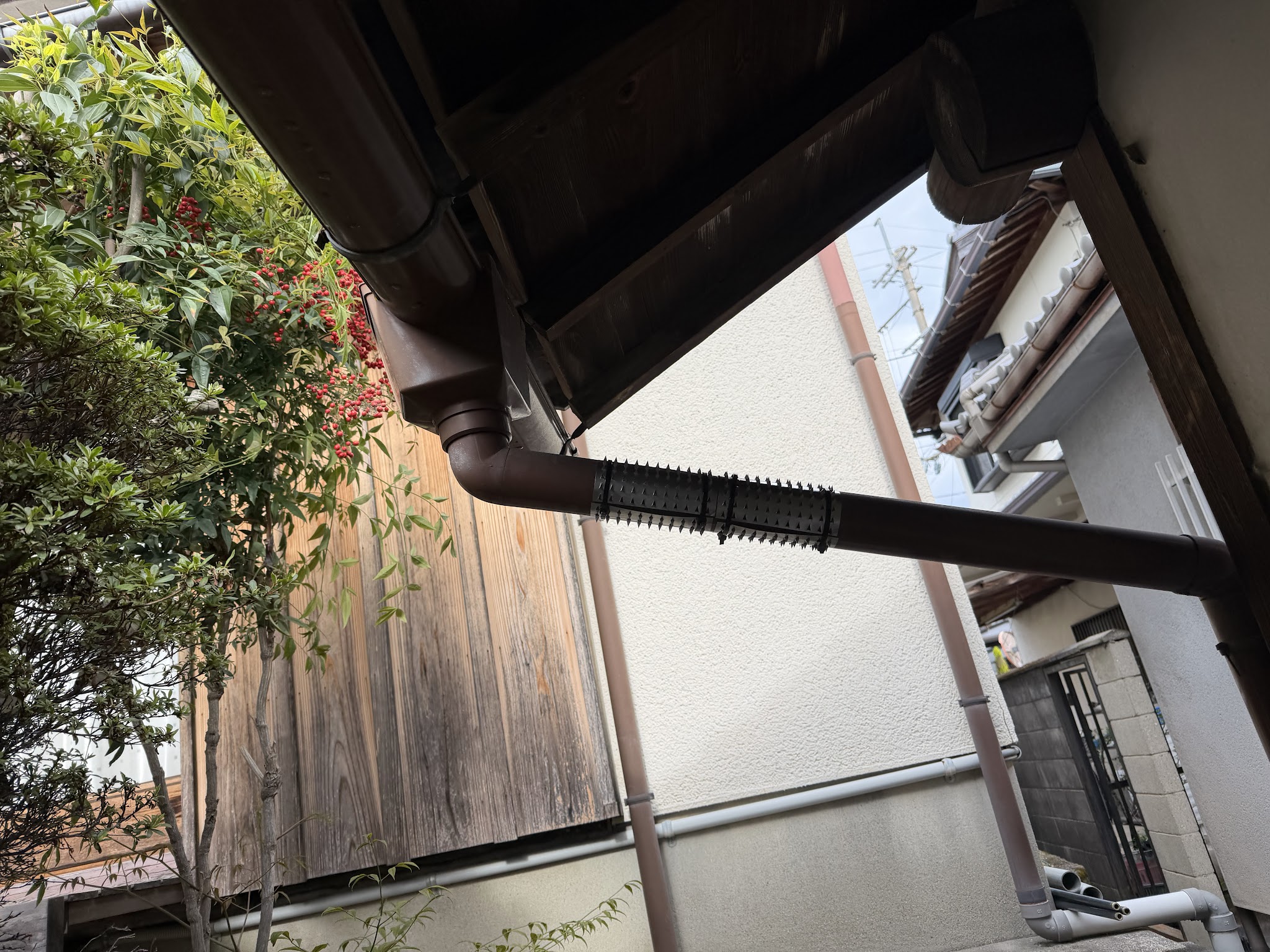 大阪府大阪狭山市アライグマ駆除現場の写真11