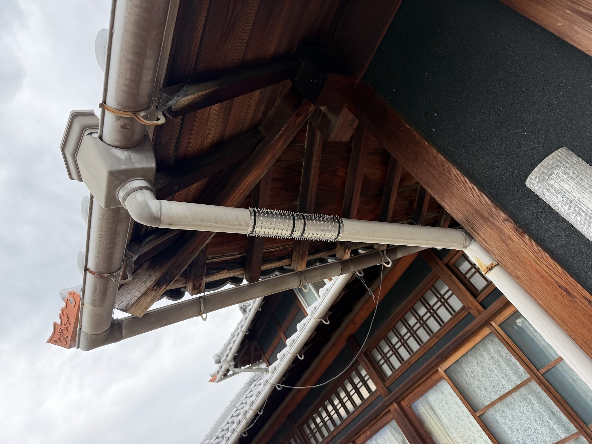 大阪府大阪狭山市アライグマ駆除現場の写真30