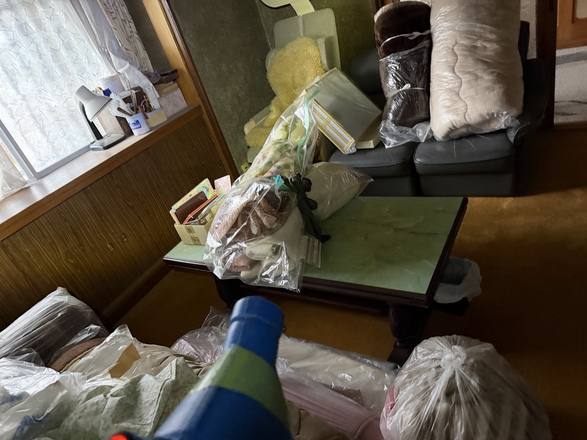大阪府大阪狭山市アライグマ駆除現場の写真19