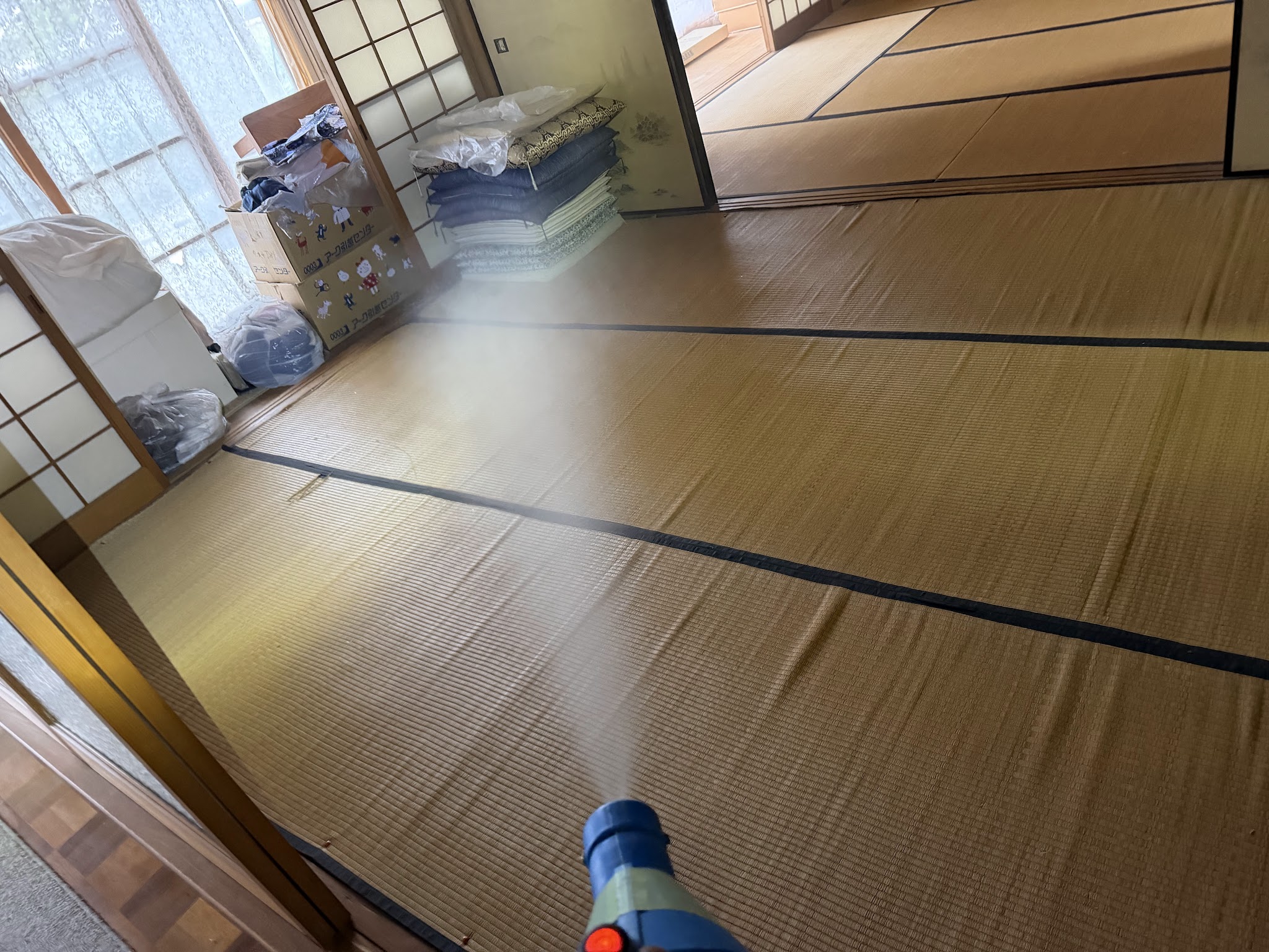 大阪府大阪狭山市アライグマ駆除現場の写真13