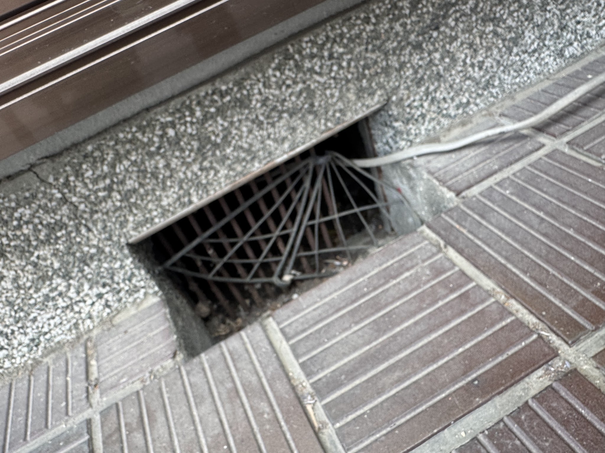 大阪府松原市アライグマ駆除現場の写真19