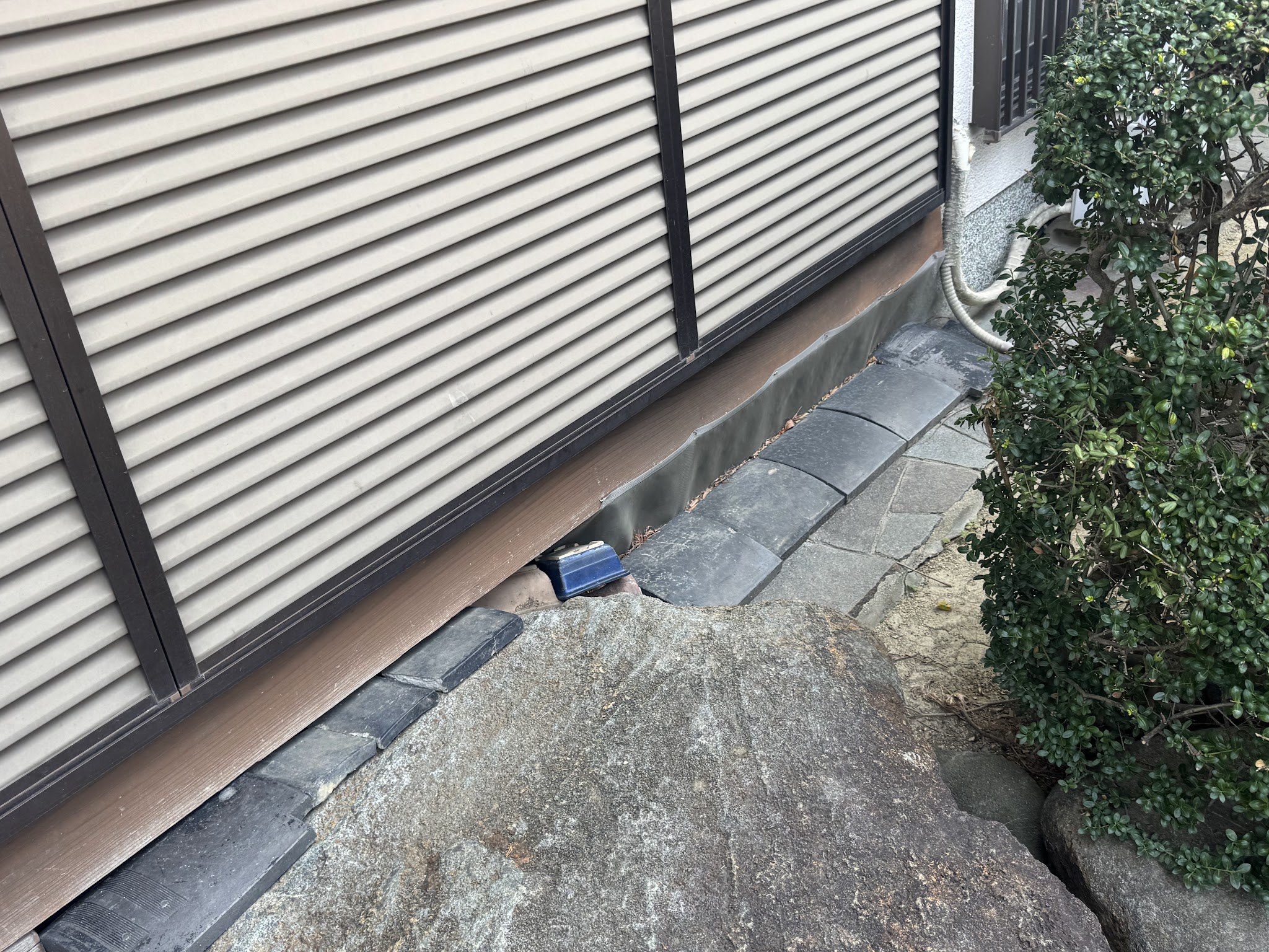 大阪府松原市アライグマ駆除現場の写真14