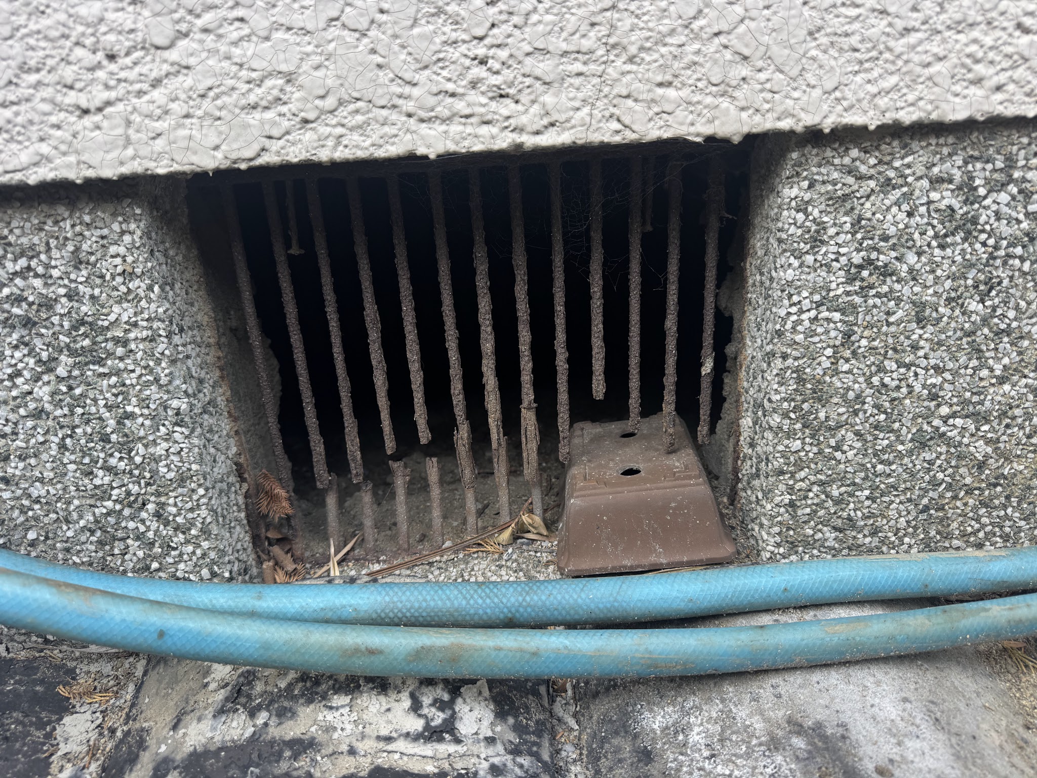 大阪府松原市アライグマ駆除現場の写真9