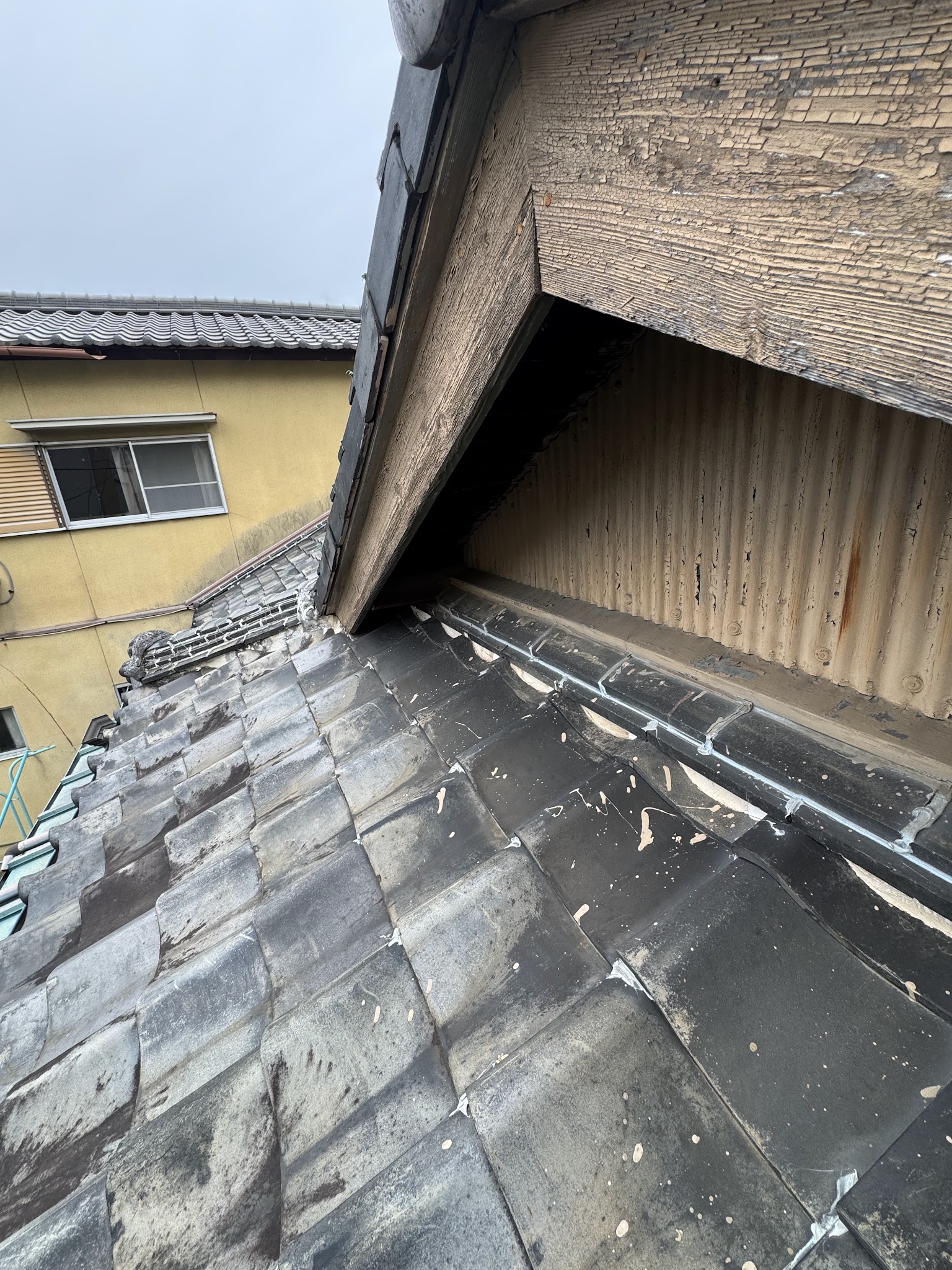 愛知県刈谷市ハクビシン駆除現場の写真19
